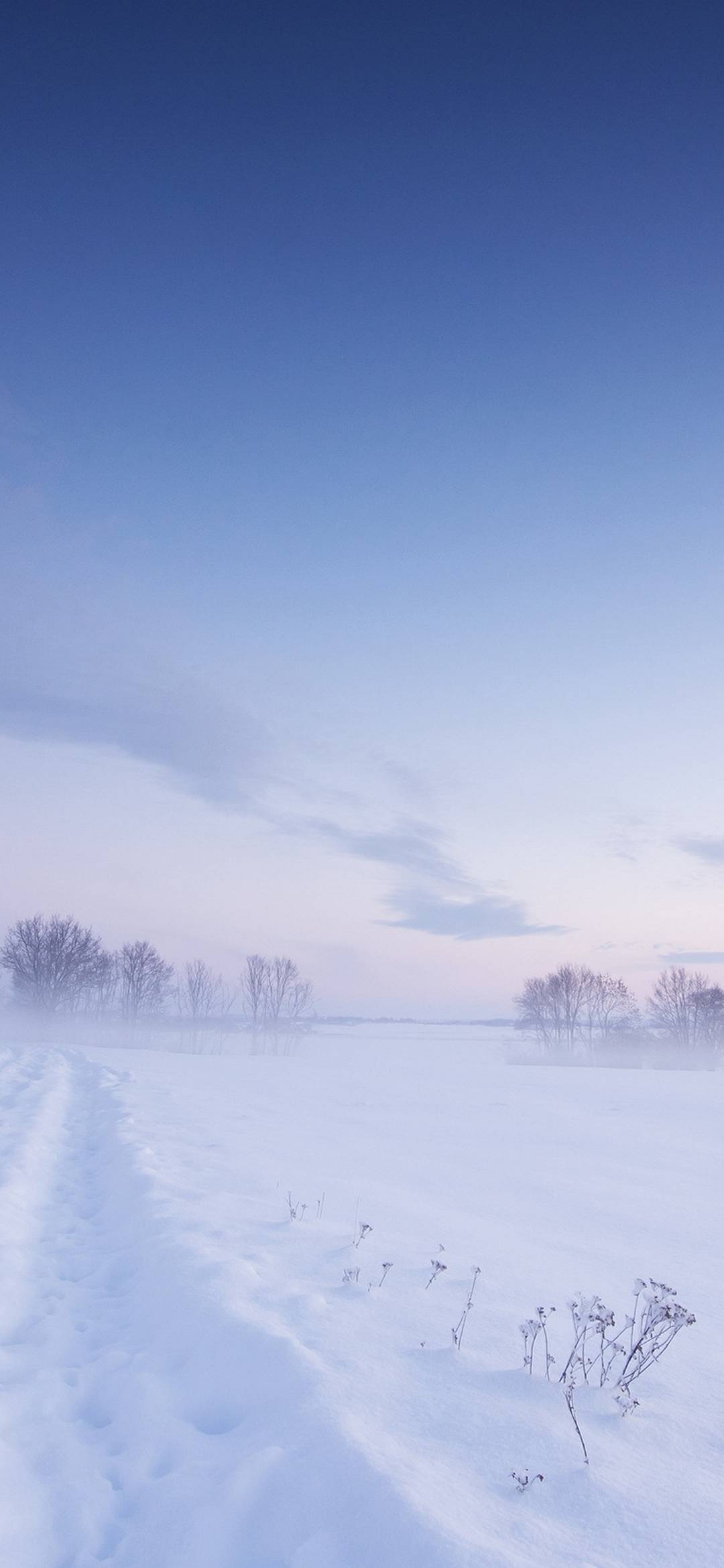 Snow Winter Field - [1080x2340]