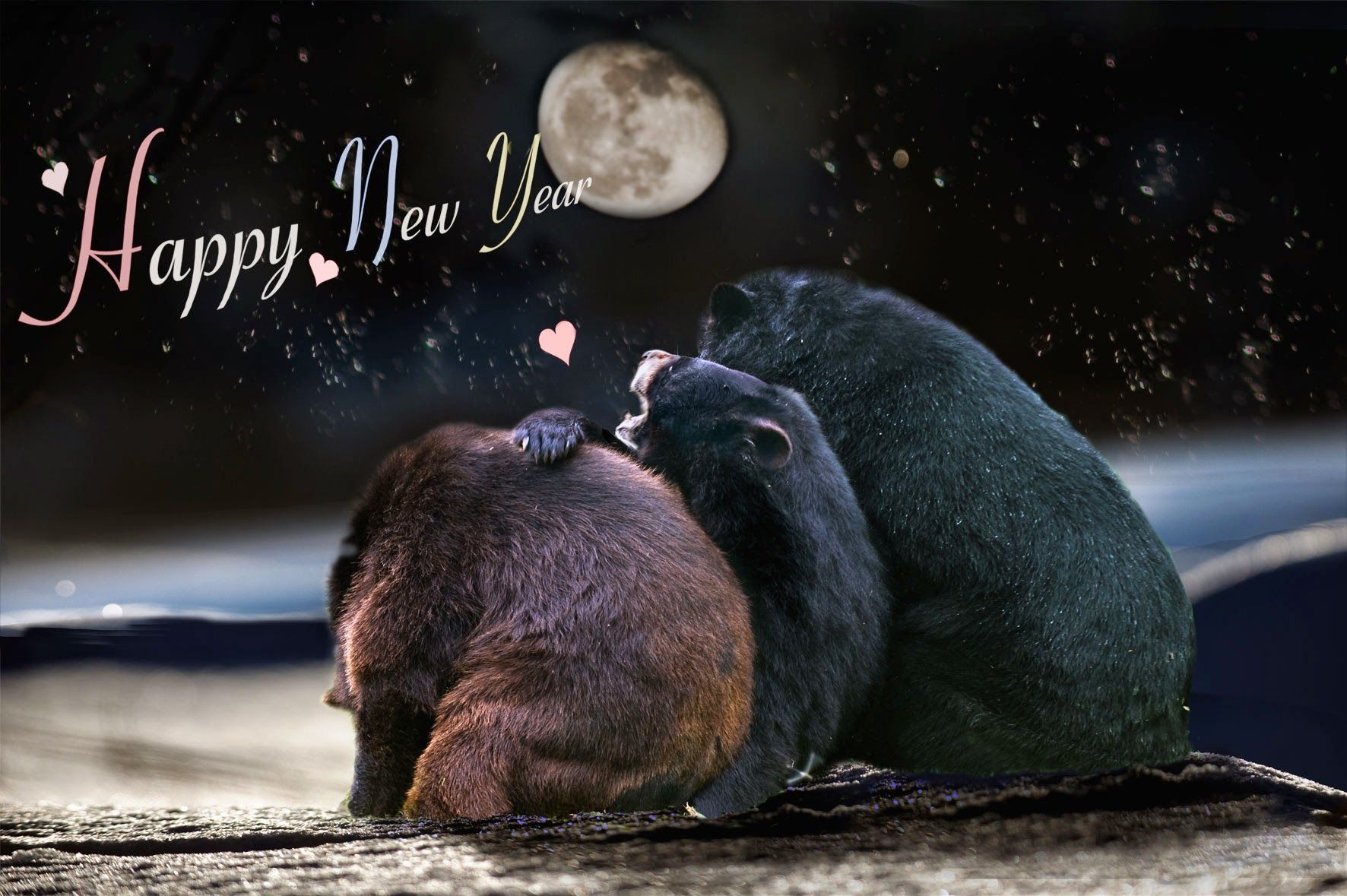 New Years Animals Wallpapers Wallpaper Cave
