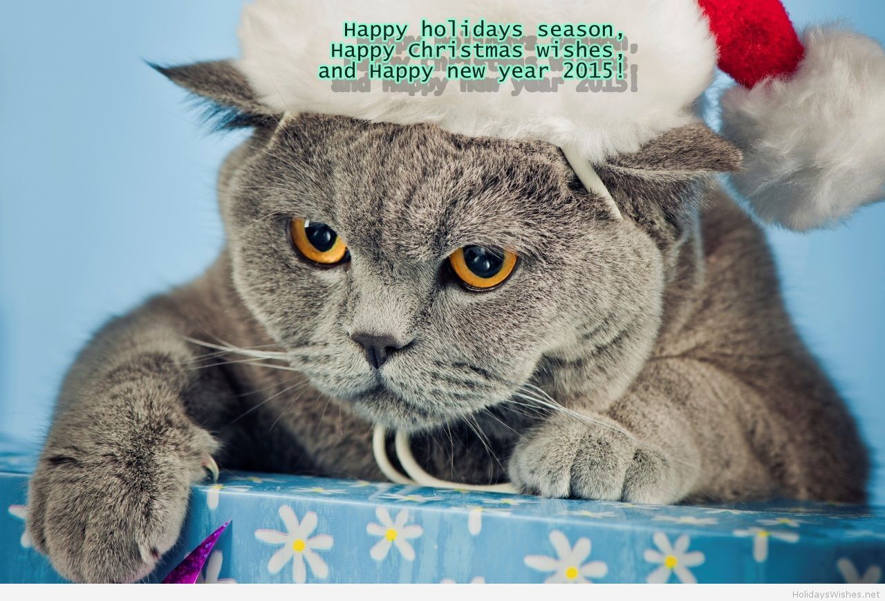 Creative Animals New Year Wallpaper For 2015