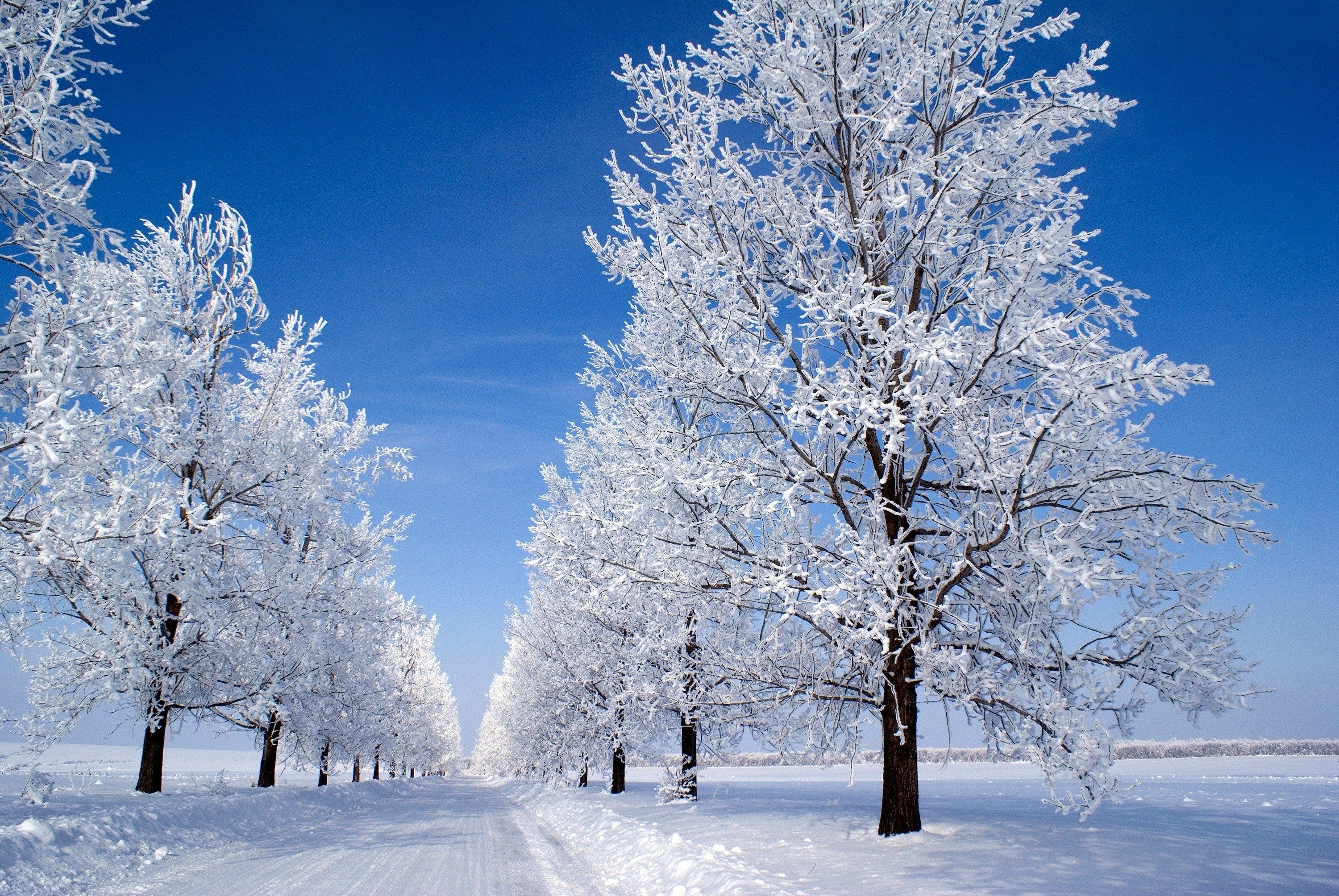 Beautiful Winter Snow HD Image