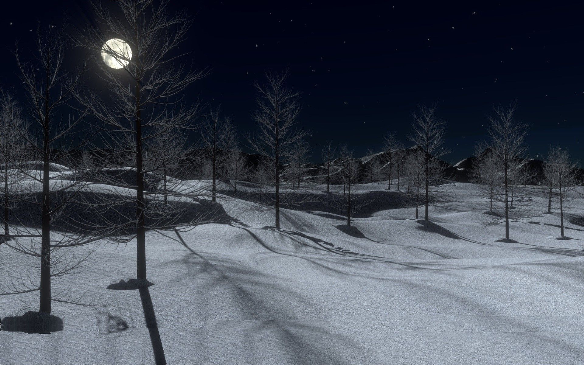 Beautiful winter midnight, snow, trees, full moon, forest wallpaper download. Wallpaper, picture, photo
