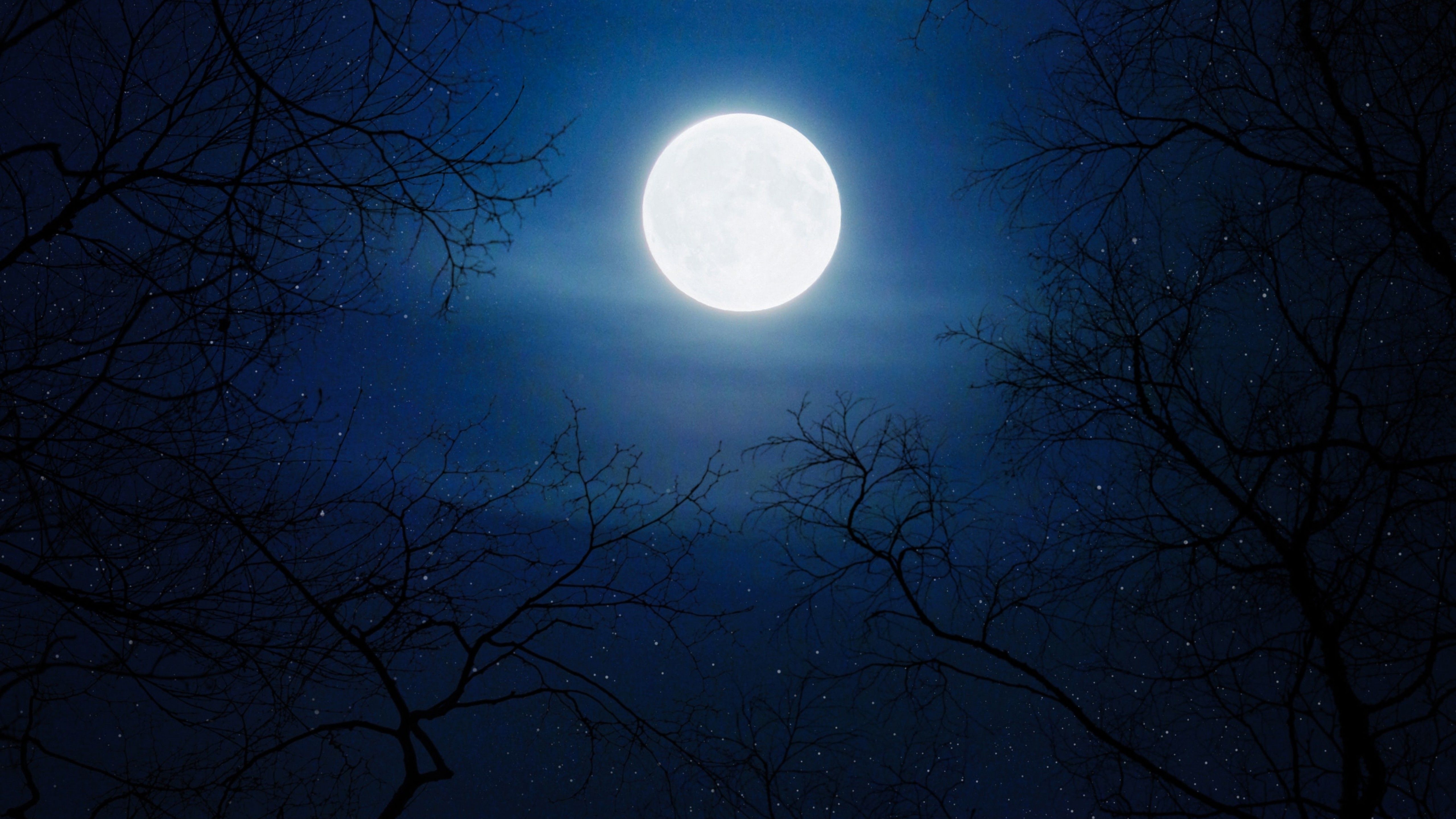 Moon 4K Wallpaper, Night, Cold, Trees, Blue sky, Full moon, Nature