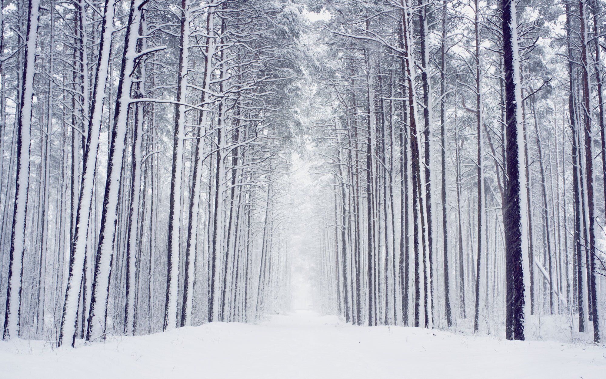 Winter Picture: View Beautiful Image of Winter Scenes. Travel + Leisure