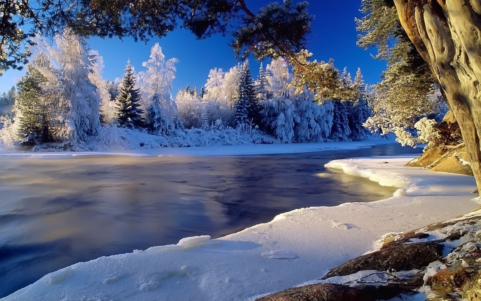 Beautiful Winter Landscape wallpaperx1200
