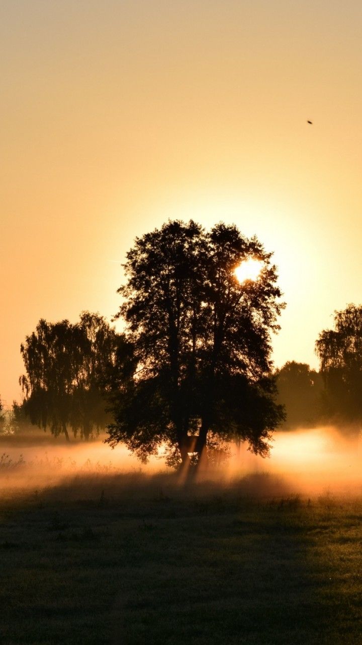 Morning sunrise HD Wallpaper 720x1280