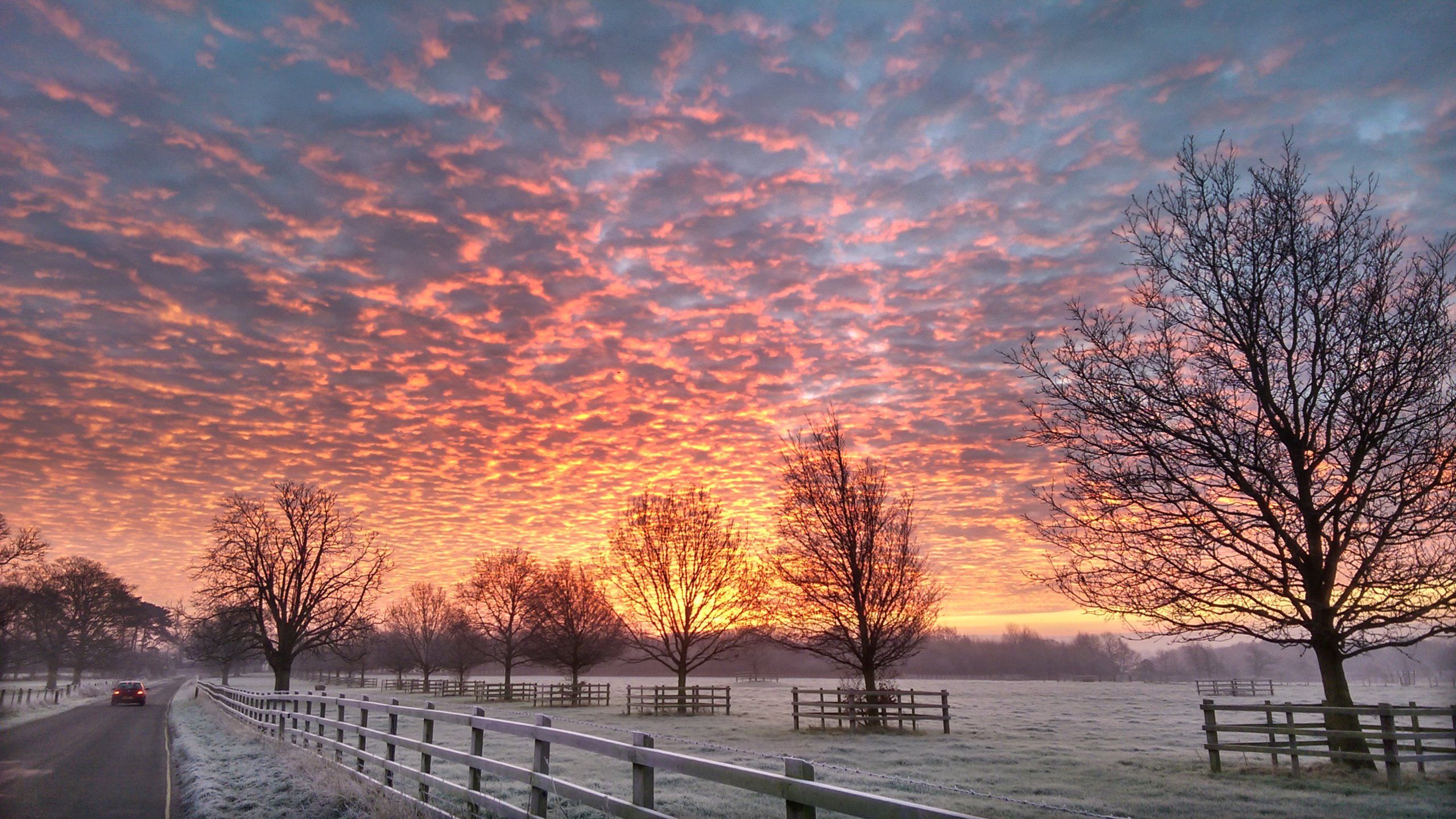 UK Winter Morning Sunrise HD wallpaper
