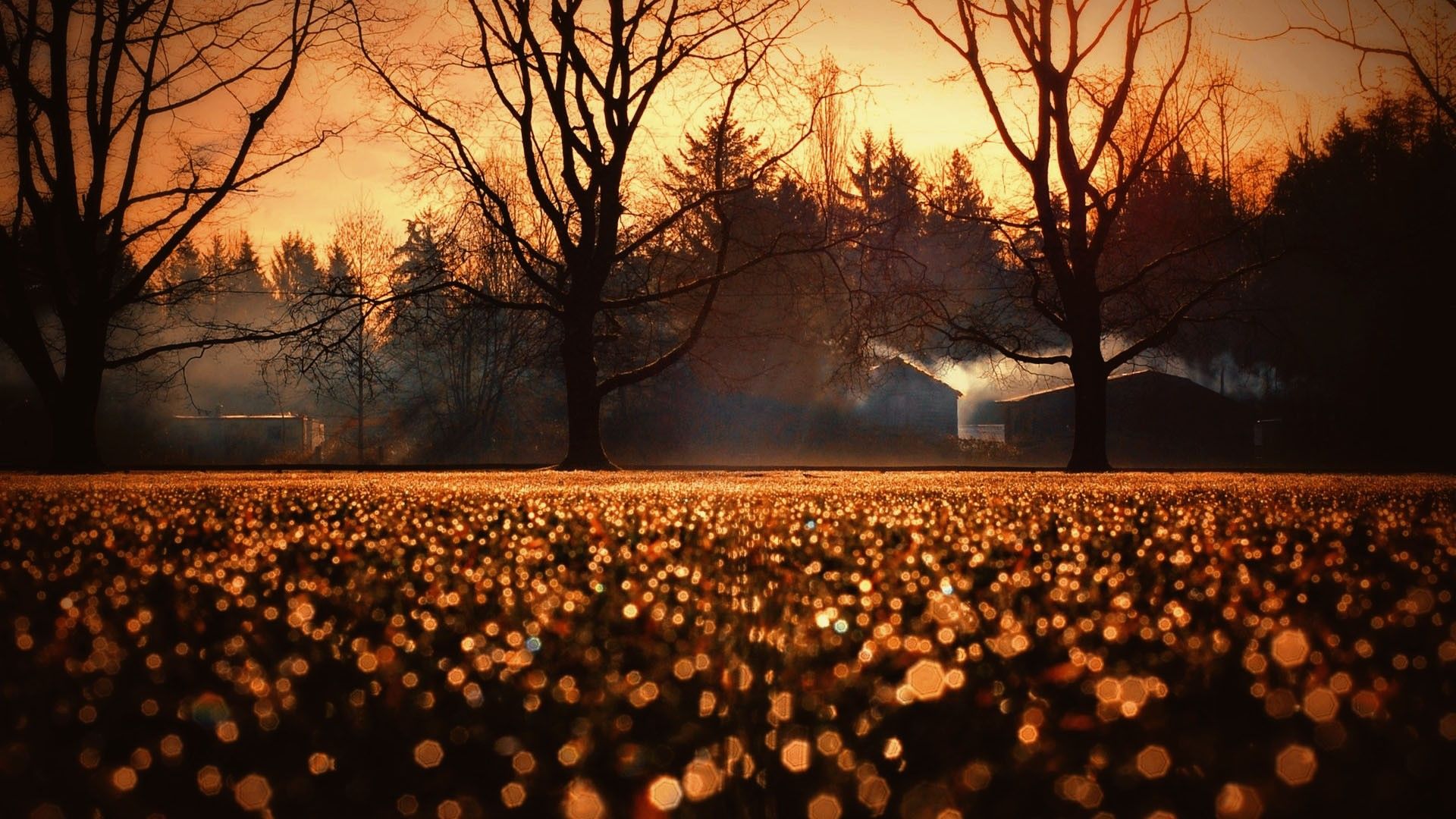 Morning Sunrise In Fall Wallpaper HD FREE HD WALLPAPERS