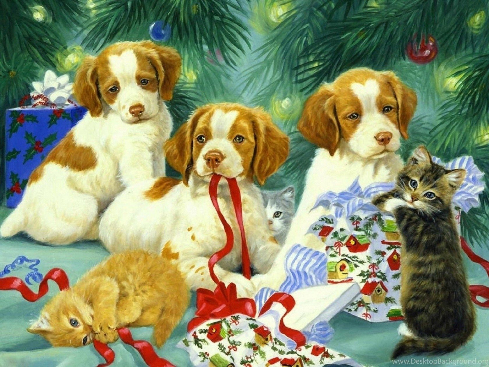 Wallpaper Of Puppies And Kittens Wallpaper