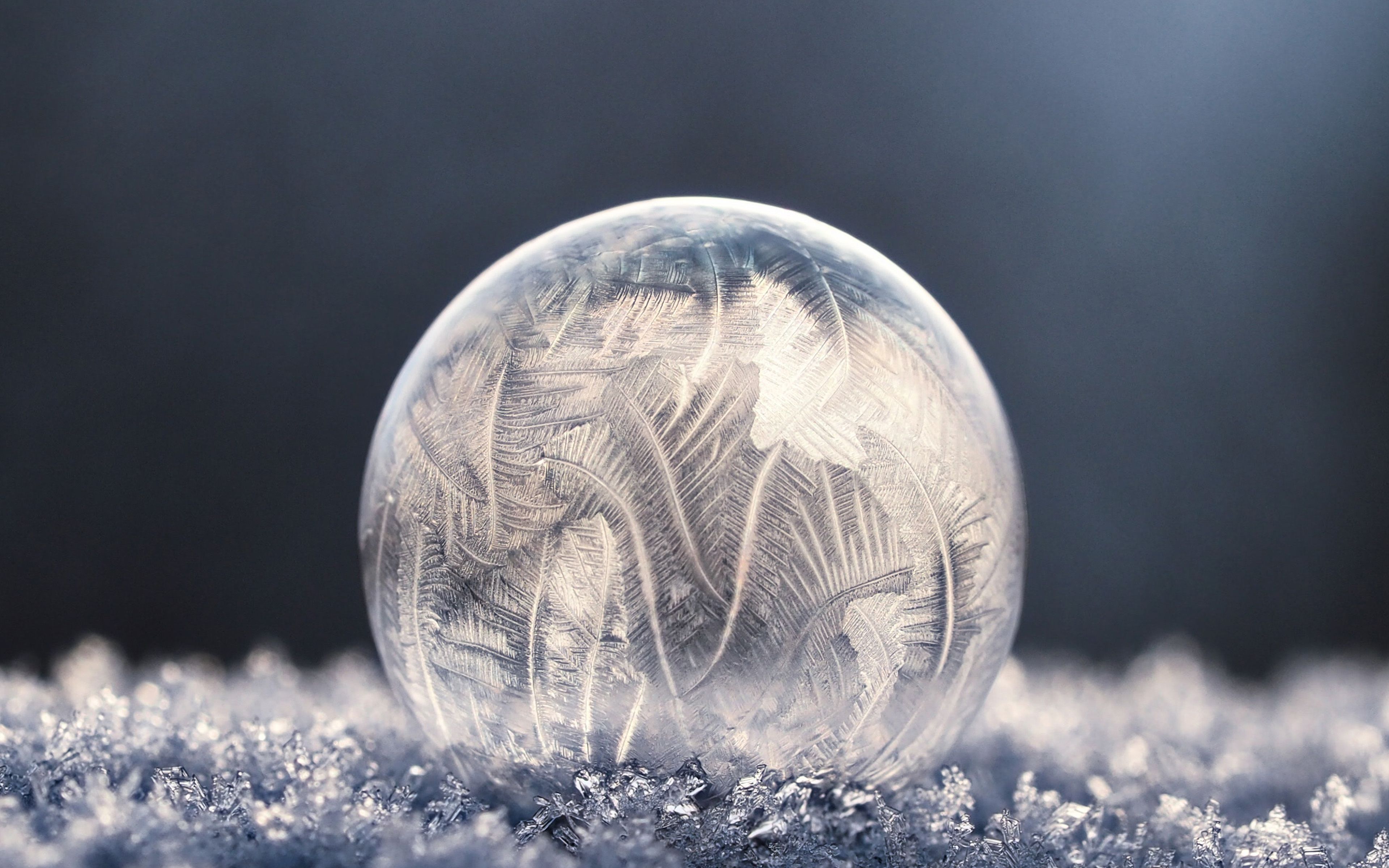 Ice Bubble Winter Nature Wallpaper
