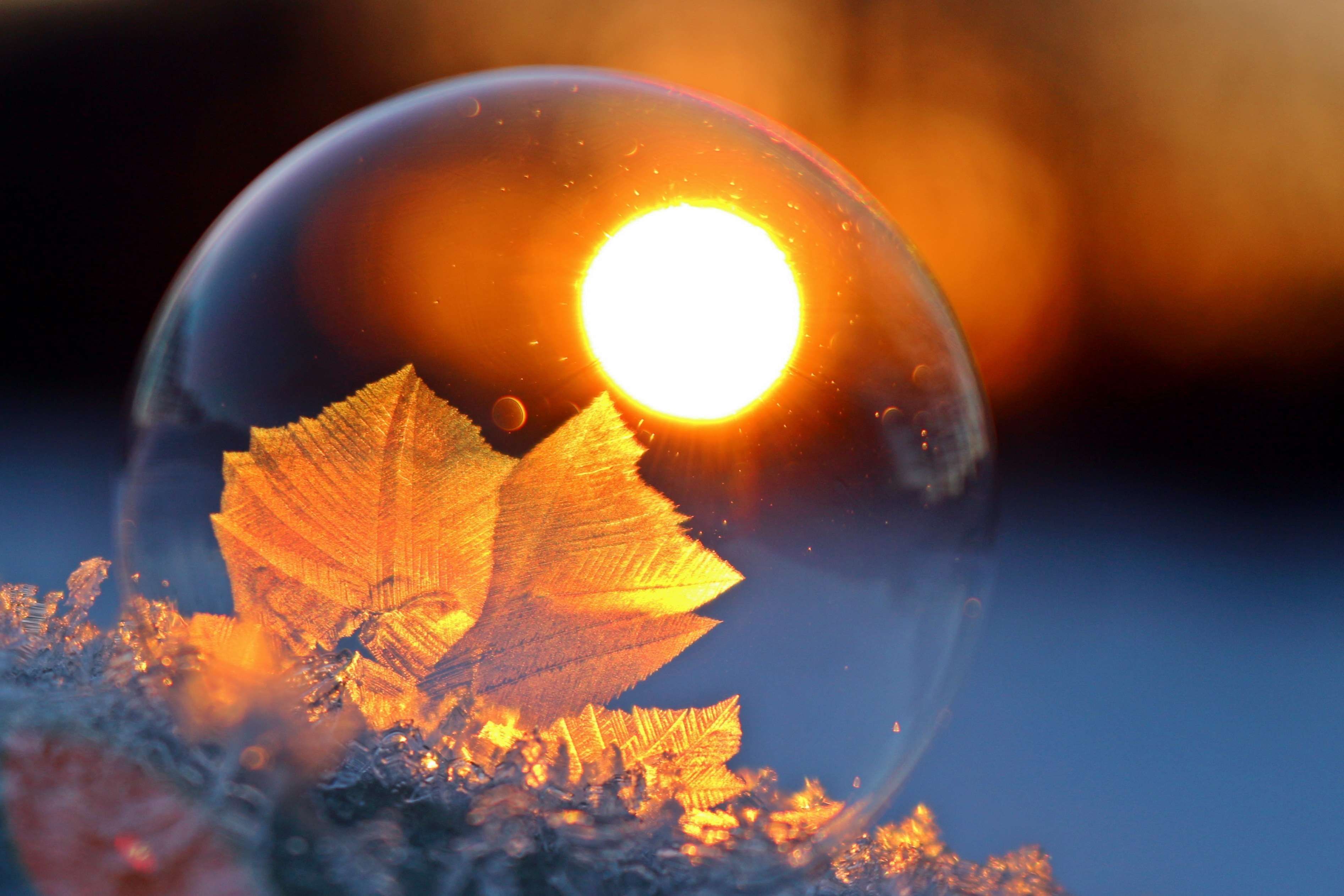 afterglow #ball #eiskristalle #frost #frozen #frozen bubble #hardest #soap bubble #sunset #winter. Soap bubbles, Bubbles, Winter wallpaper