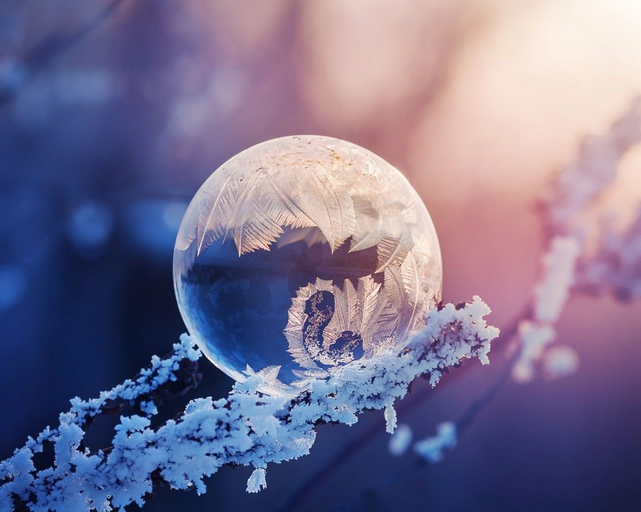 Download 1280x1024 Frozen Bubble, Winter, Photography Wallpaper