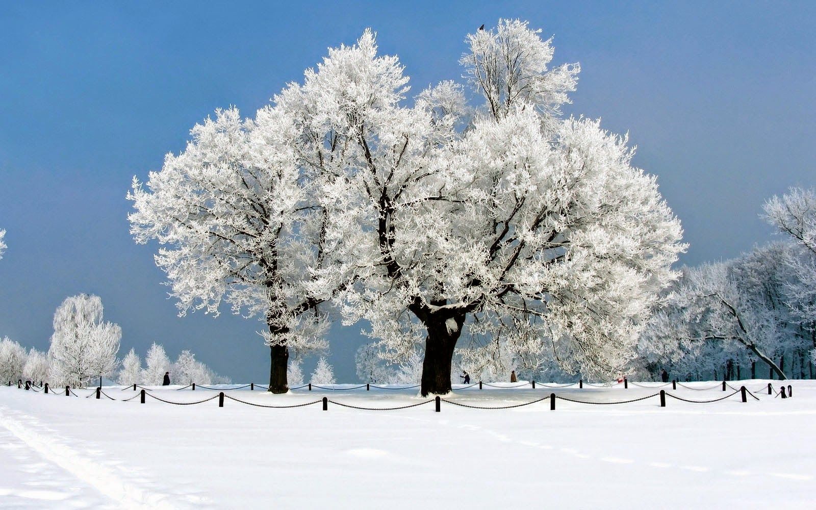 Winter 2021 Wallpapers - Wallpaper Cave