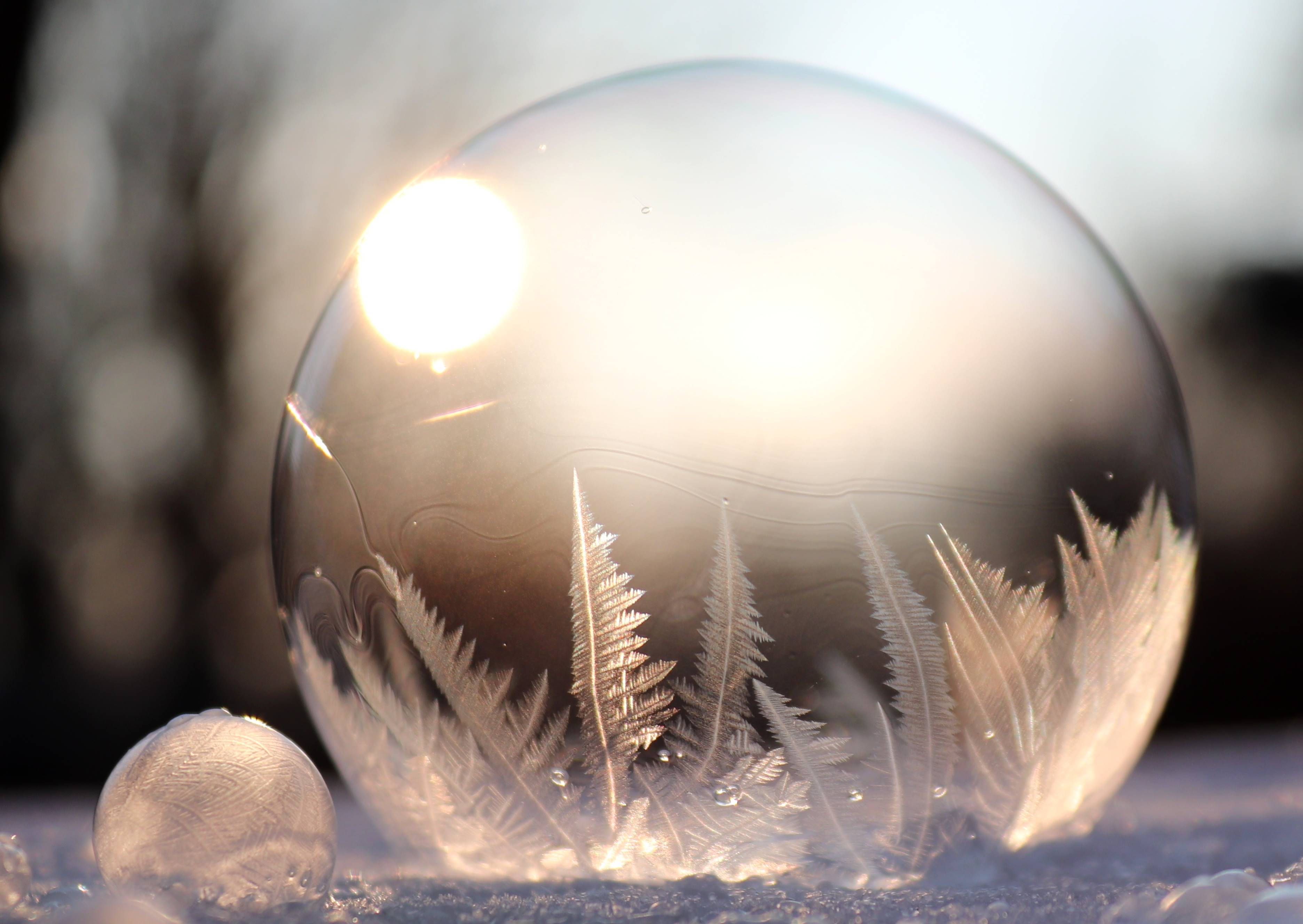 #macro, #frost, #frozen bubble, #soap, #bubbles, #photography, # winter, #ice, wallpaper