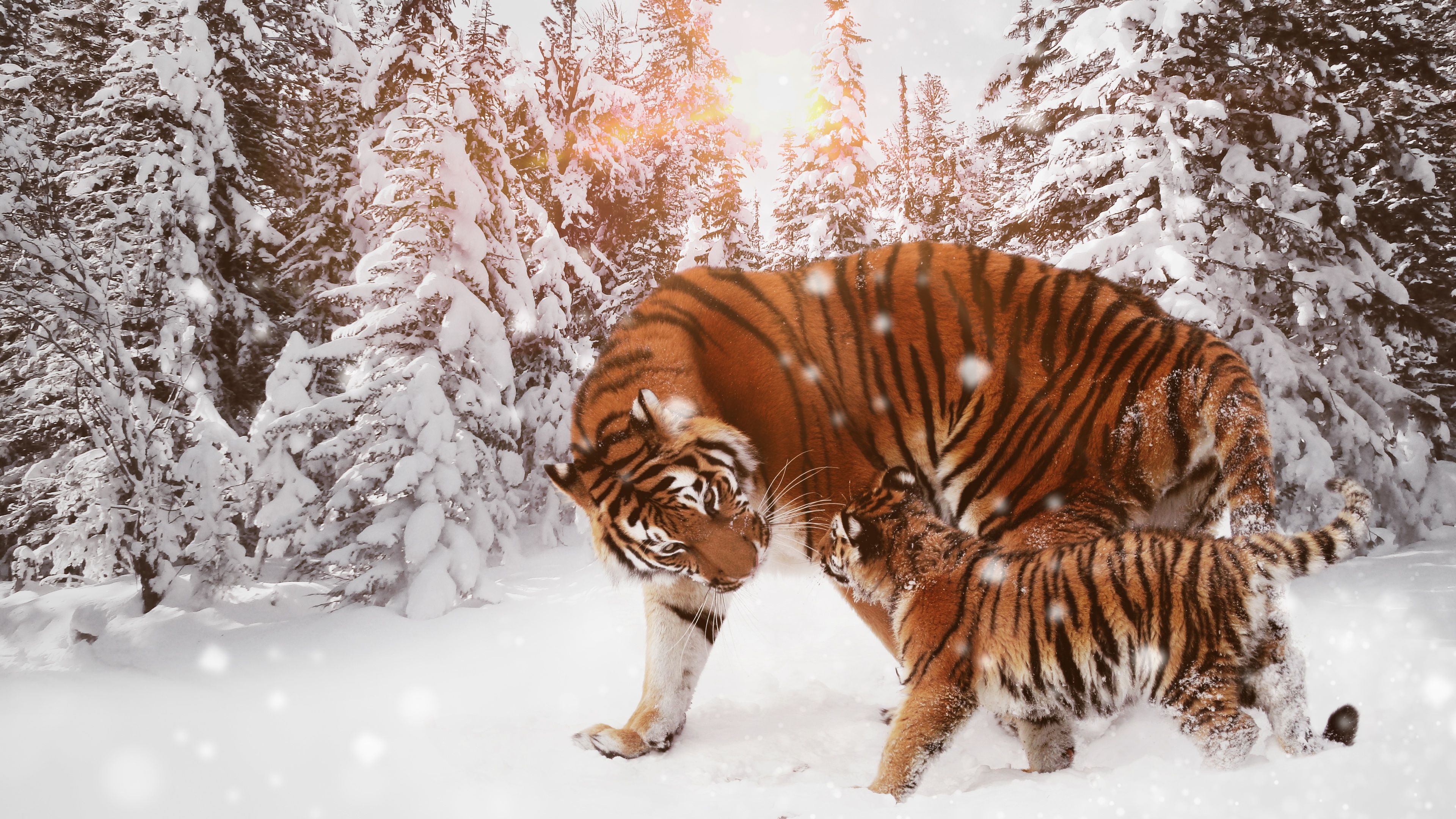 Winter Animal Wallpaper