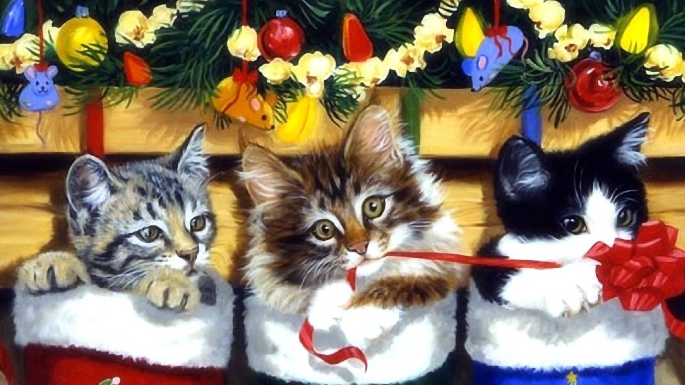 Title Kitten Stocking Holiday Christmas Cat Cats And Kittens HD Wallpaper