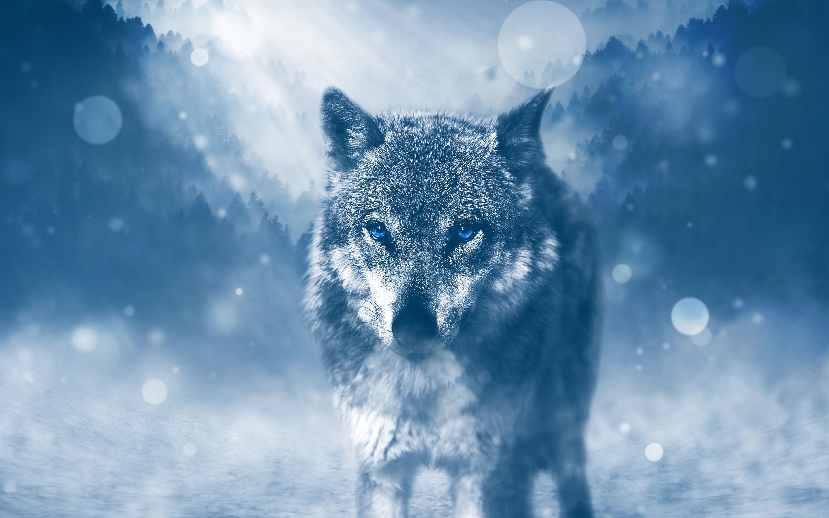 Winter Wolf 4K Wallpaper