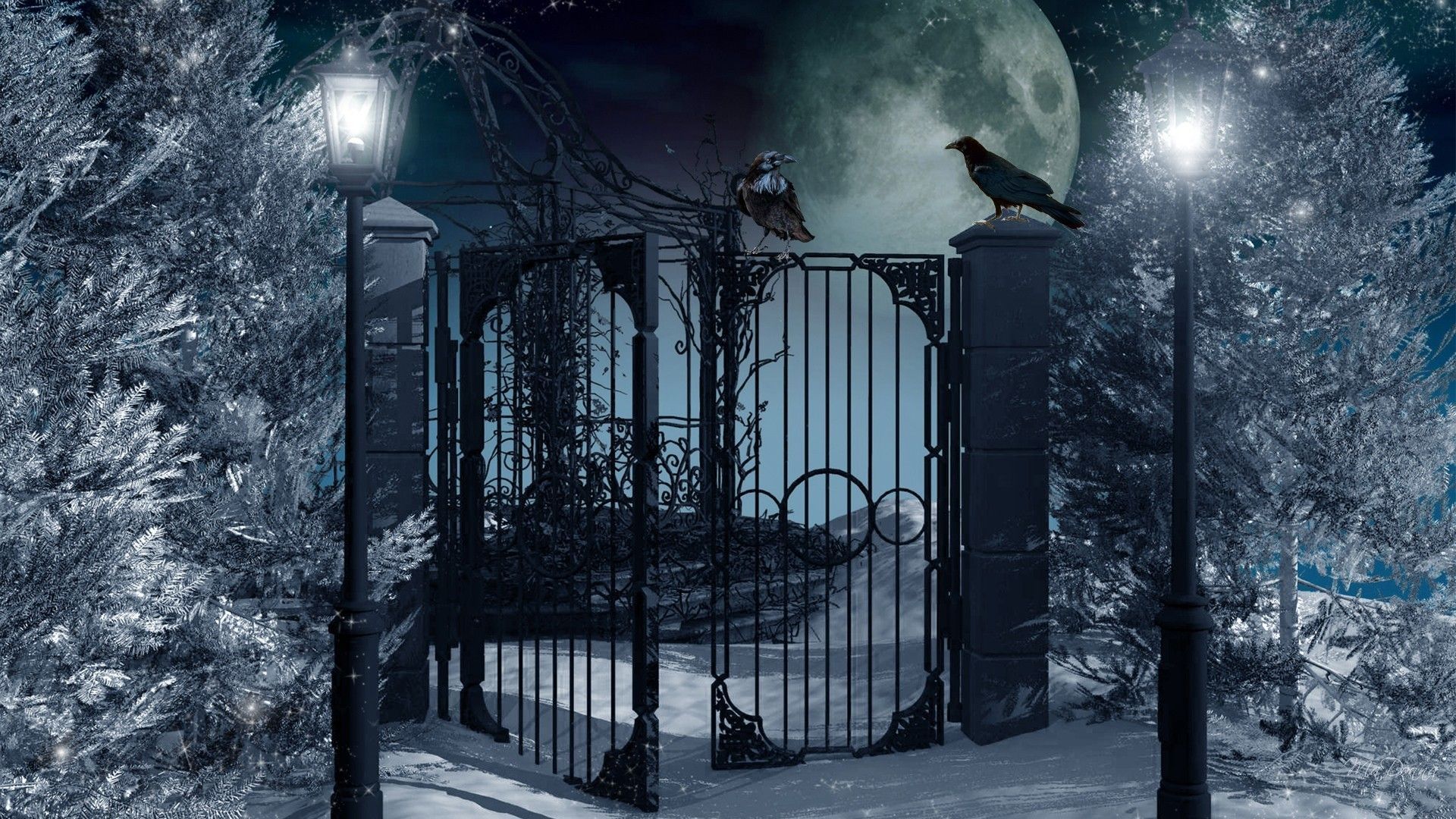 NatBG.com Winter Night Winters Mysterious Blue Birds Mystical Trees Lamp Lights Snow Ravens Haunting Full Mo. Wallpaper picture, Mystic garden, Background