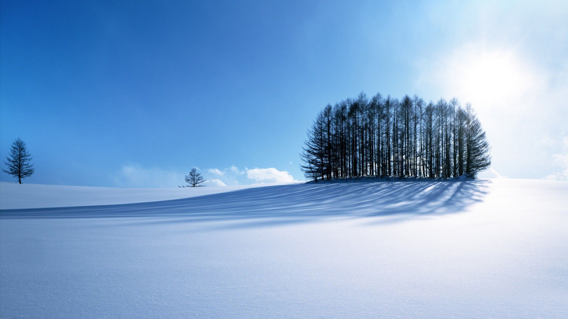 Winter HD Background
