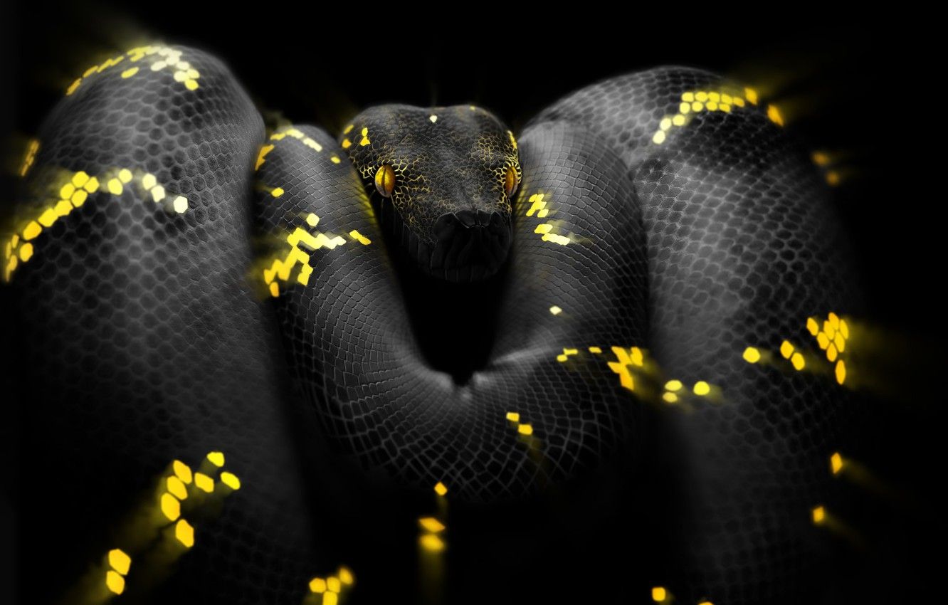 Wallpaper Snake, Eyes, Head, Python, Art, Snake, Python, by Ben Judd, Ben Judd, Surreal Snake image for desktop, section арт