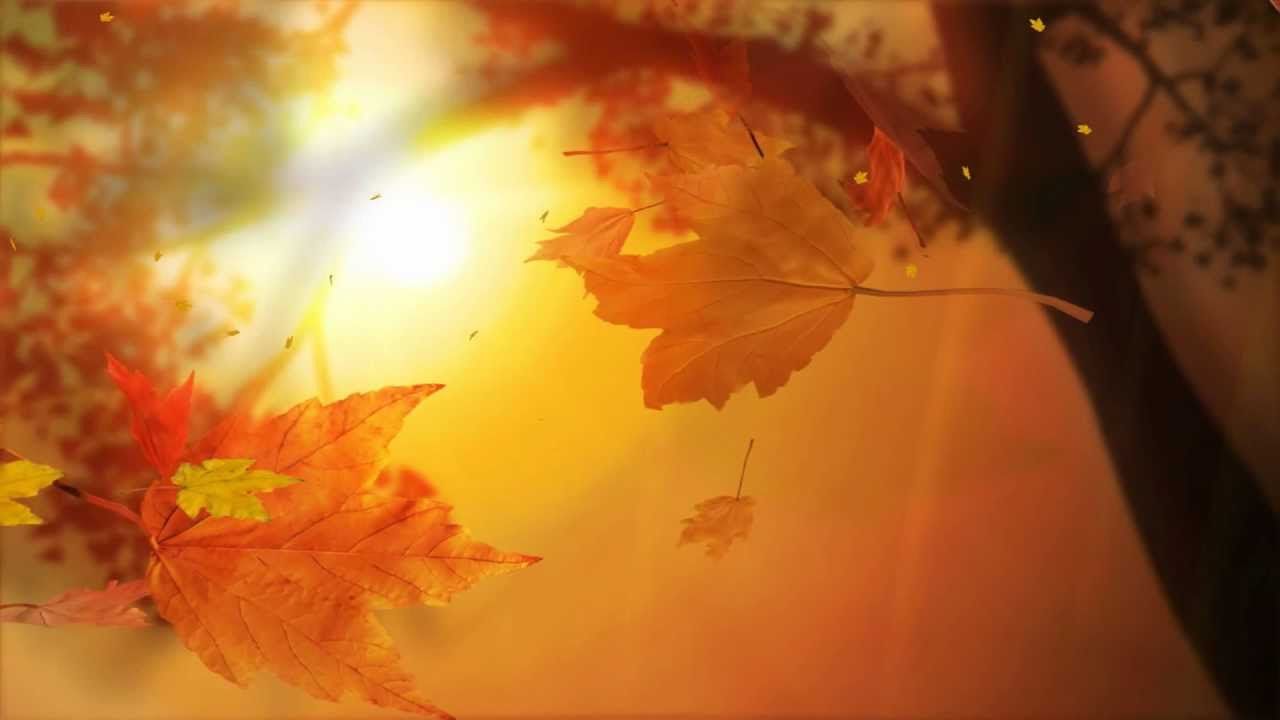 Leaf Fall Animated Wallpaper