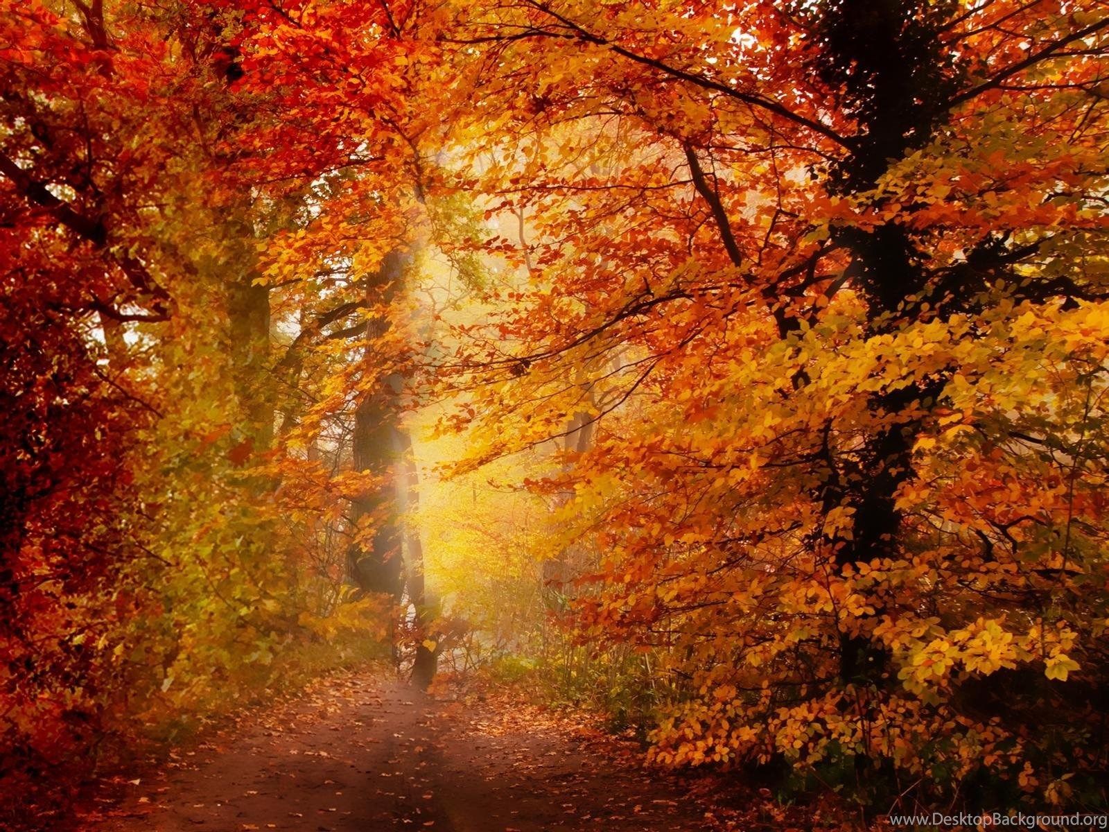 Free Animated Autumn Season Wallpaper Photo Of Grab Back Your. Desktop Background