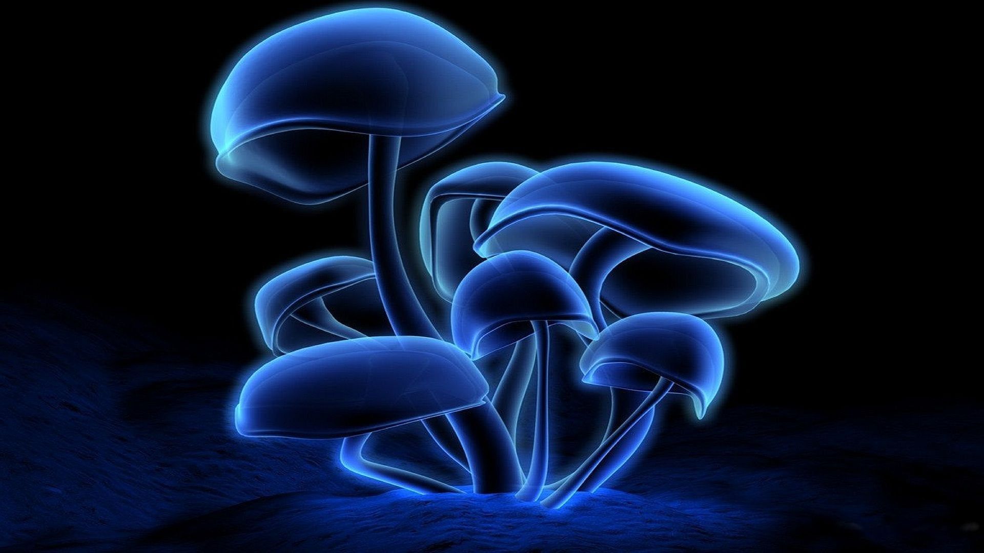 Blue Mushroom Desktop Wallpaper