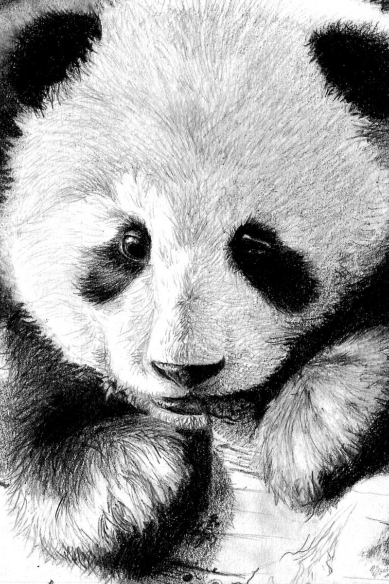 Panda Wallpaper for Android