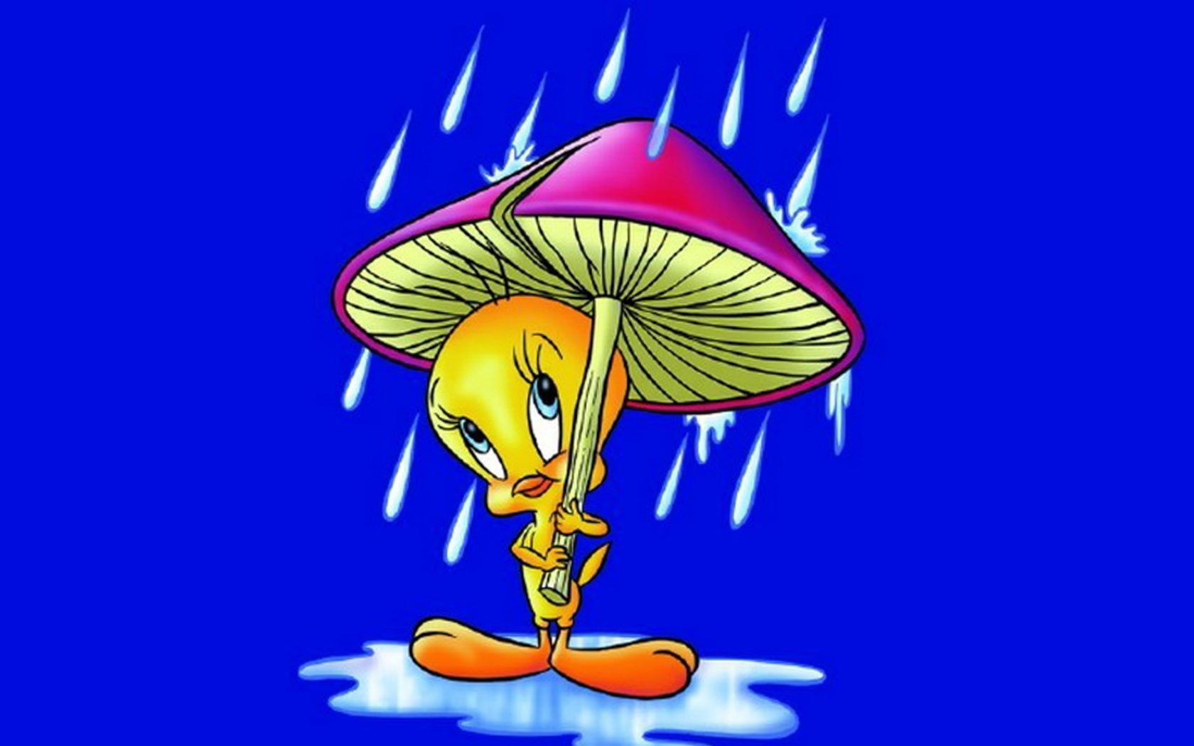 Cartoon Tweety Bird Rain Umbrella Mushroom Blue Desktop Wallpaper Background 1920x1200, Wallpaper13.com