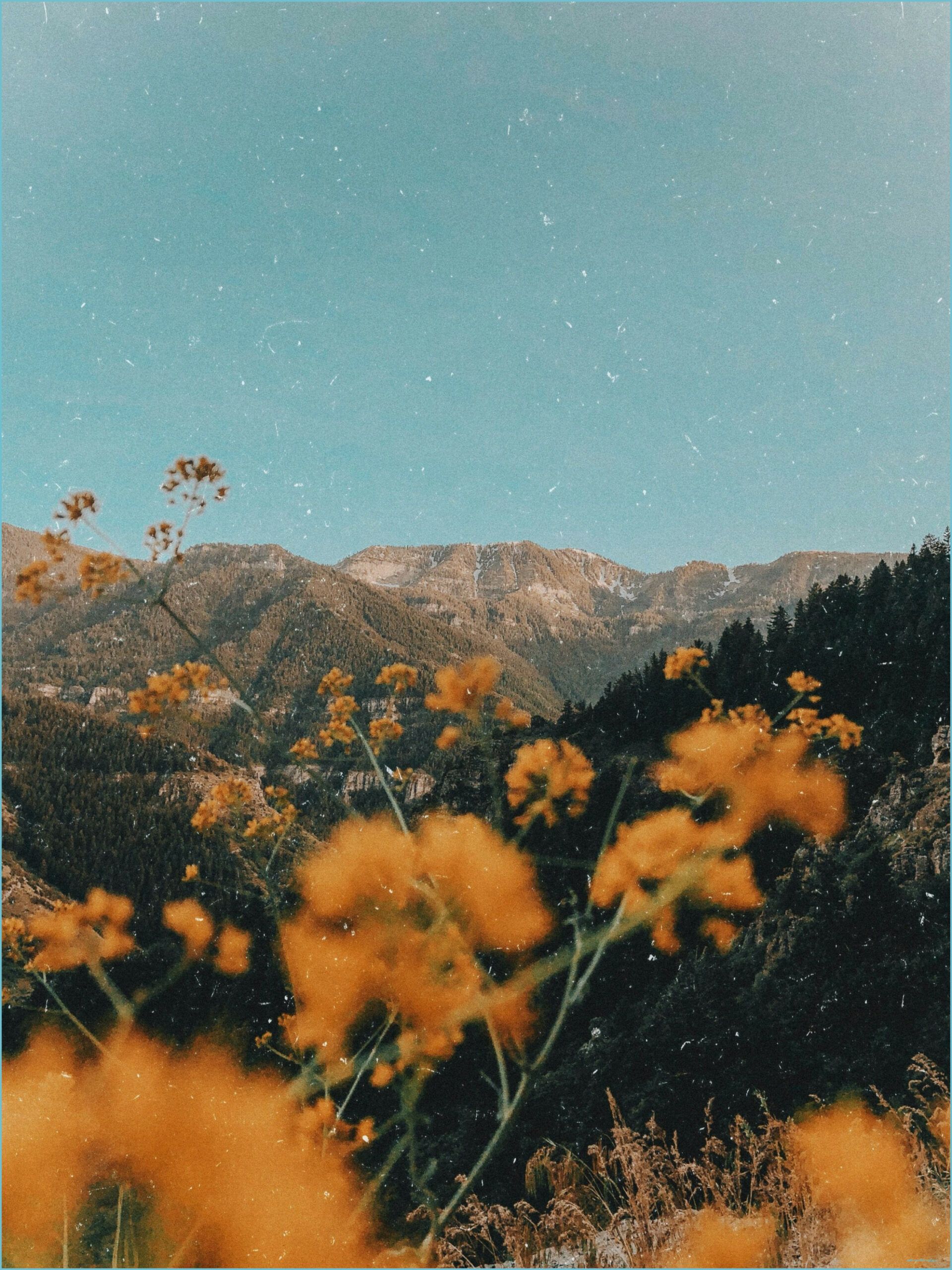 yellow dreams Aesthetic background, Landscape photography aesthetic wallpaper