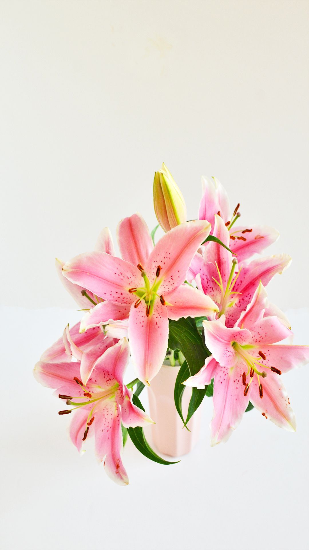 Free Lily iPhone Wallpaper. Enthralling gumption. Pretty wallpaper, iPhone wallpaper, Paper flowers
