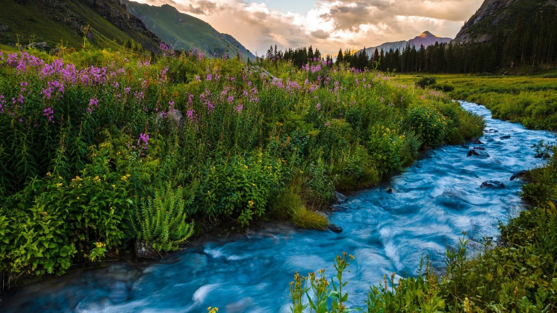 Colorado Flowers Landscape Mountains River Ultra HD Wallpaper 14375, Wallpaper13.com