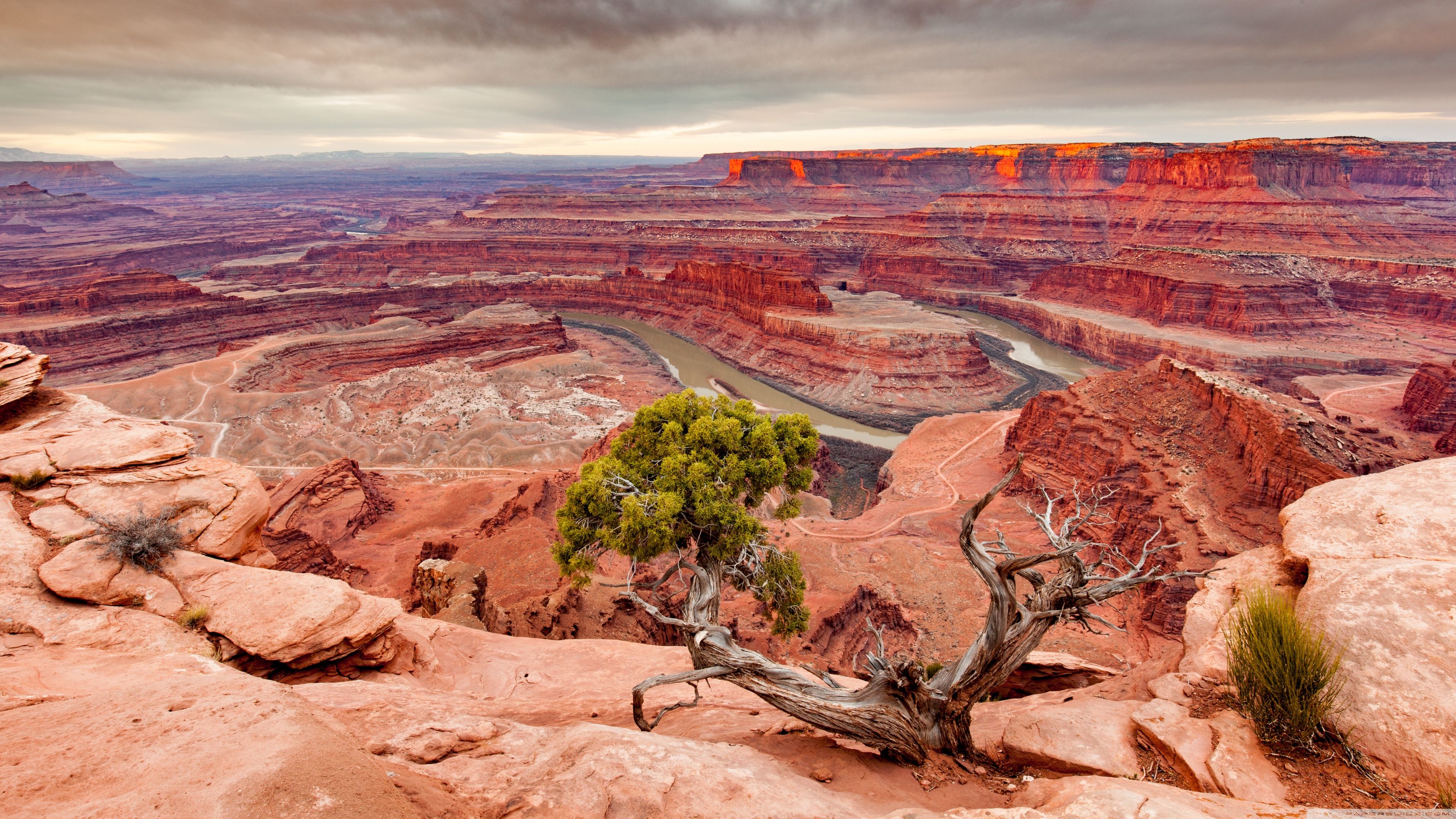 View of the Colorado River and Canyonlands National Park from Dead Horse Point Ultra HD Desktop Background Wallpaper for 4K UHD TV, Widescreen & UltraWide Desktop & Laptop, Tablet