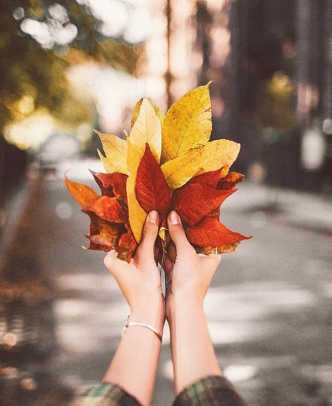 autumn background images aesthetic