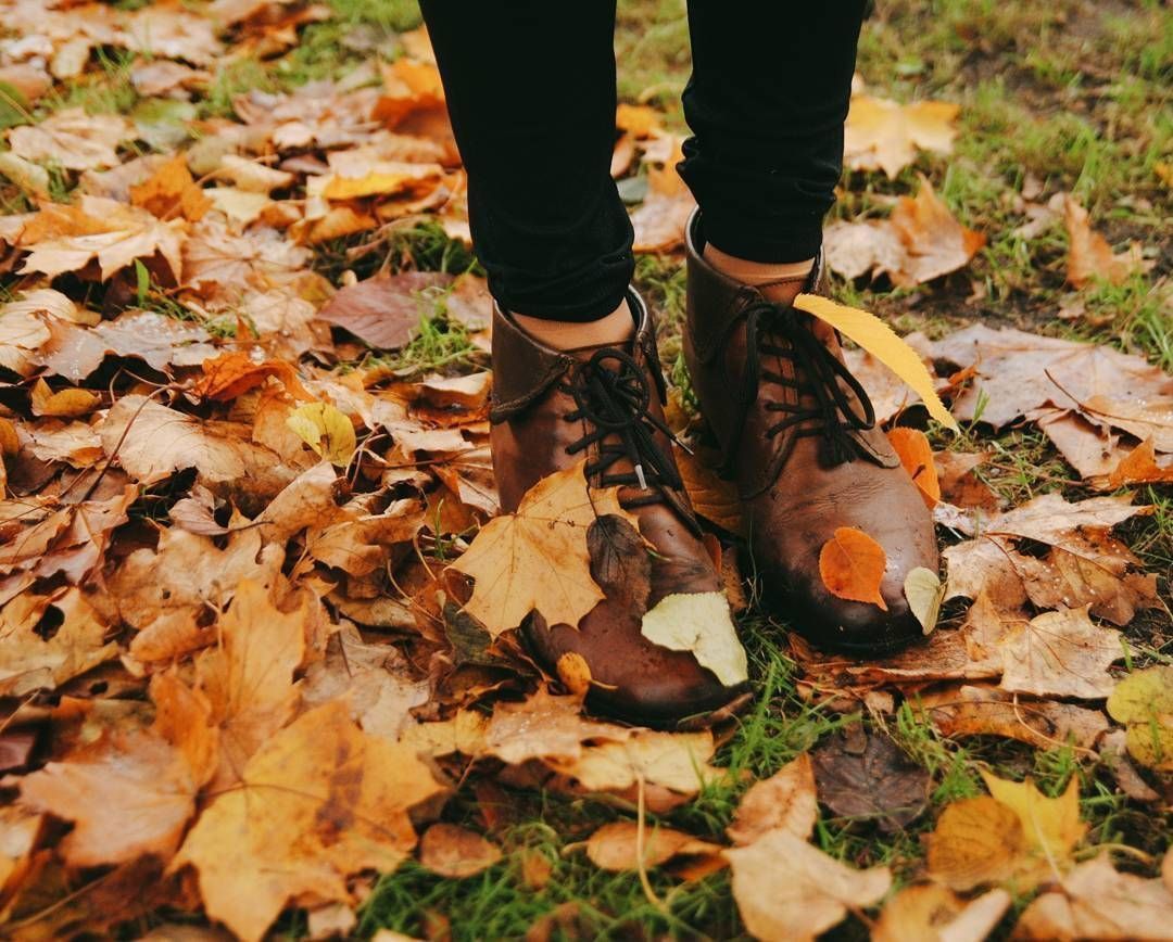 Fall Aesthetics To Get Youool Day. Autumn photography, Autumn aesthetic, Hufflepuff aesthetic