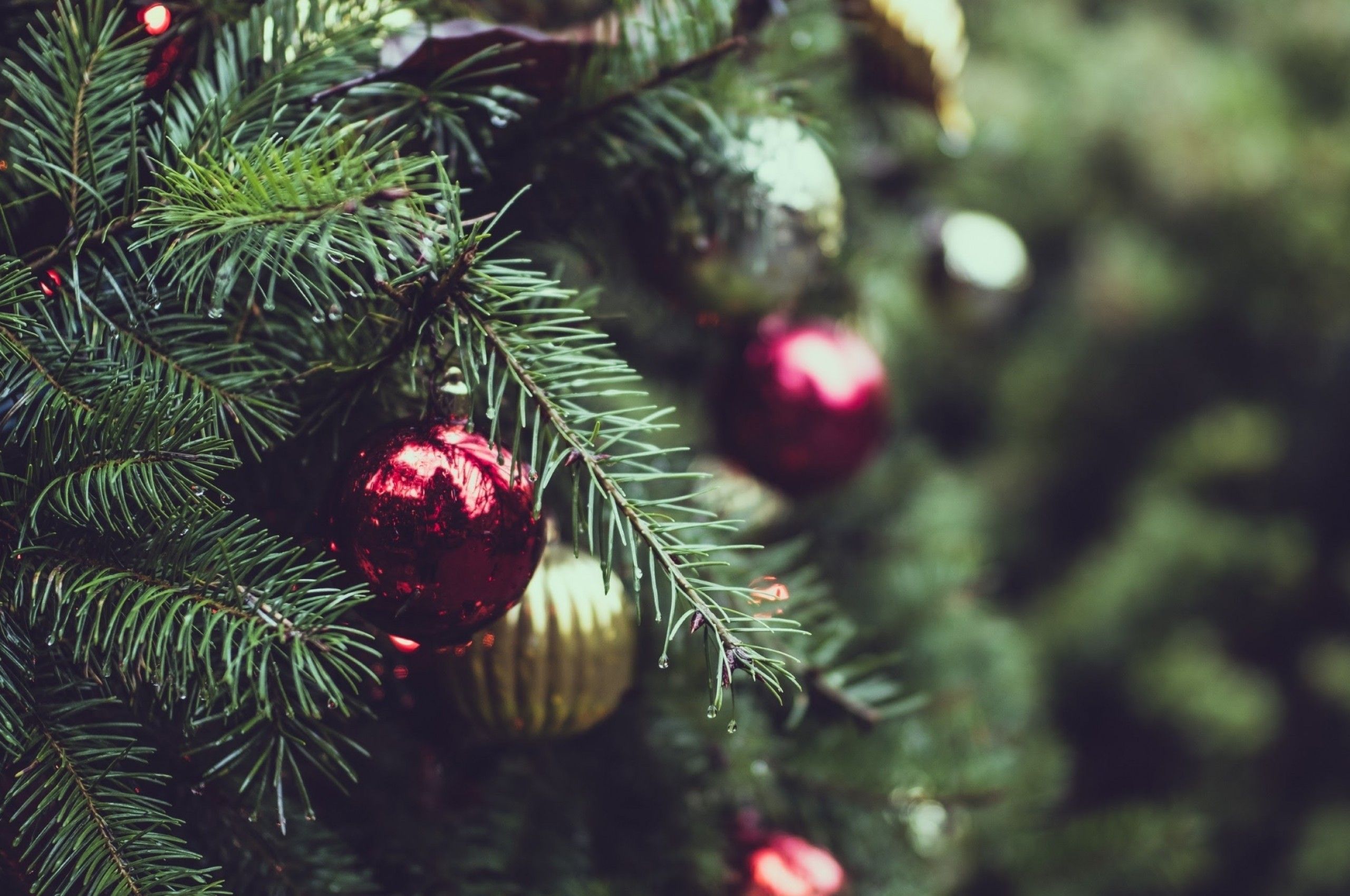 Download 2560x1700 Christmas Tree, Ornaments, Close