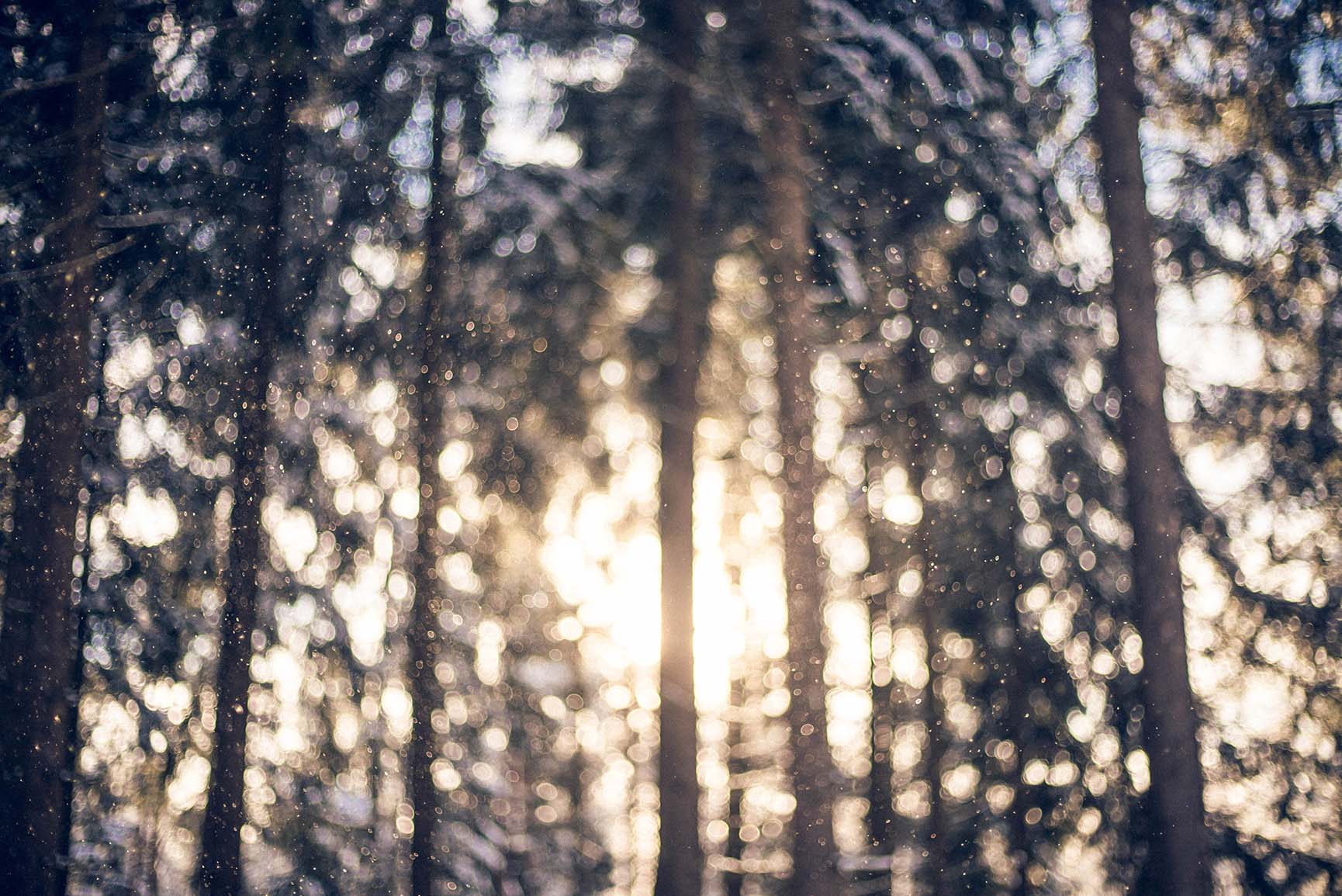x Winter Landscapes iPhone Wallpaper Collection