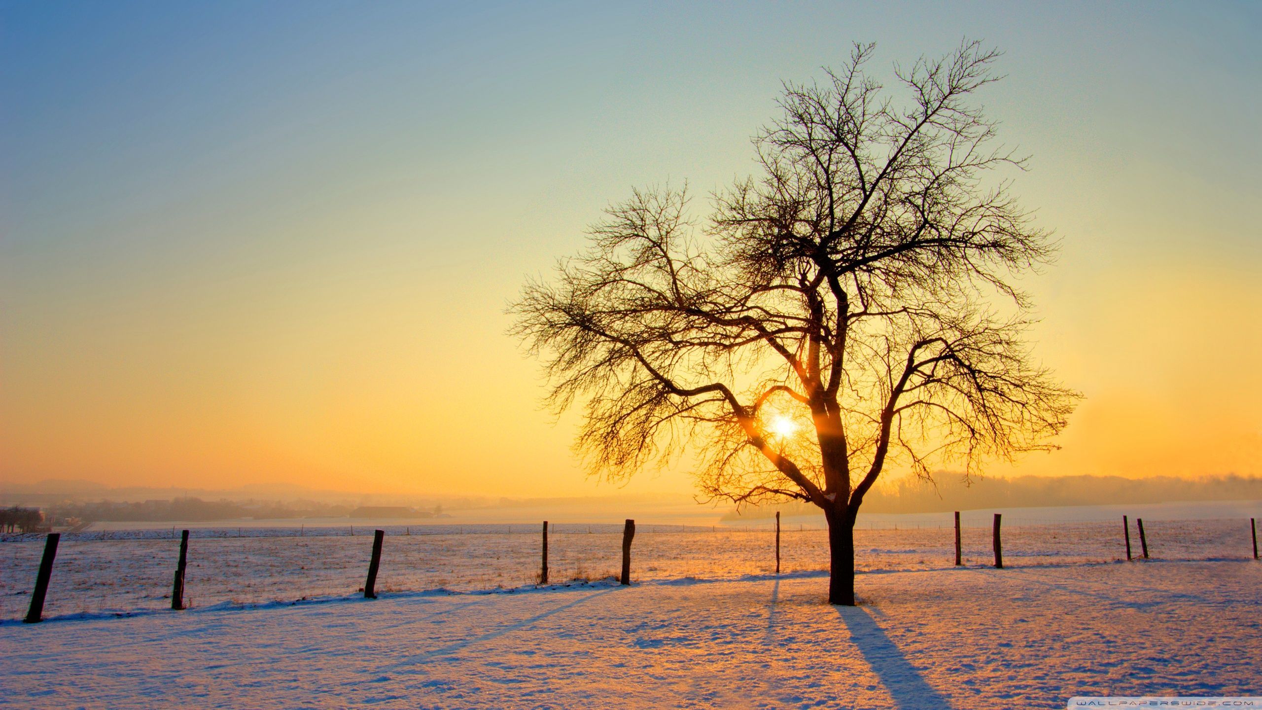 Beginning of a new day. Sunrise photography, Scenery wallpaper, Winter nature
