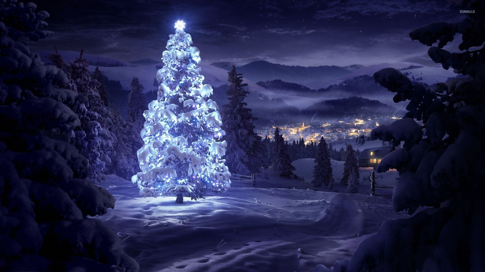 Bright star on top of a beautiful snowy tree in the forest wallpaper wallpaper
