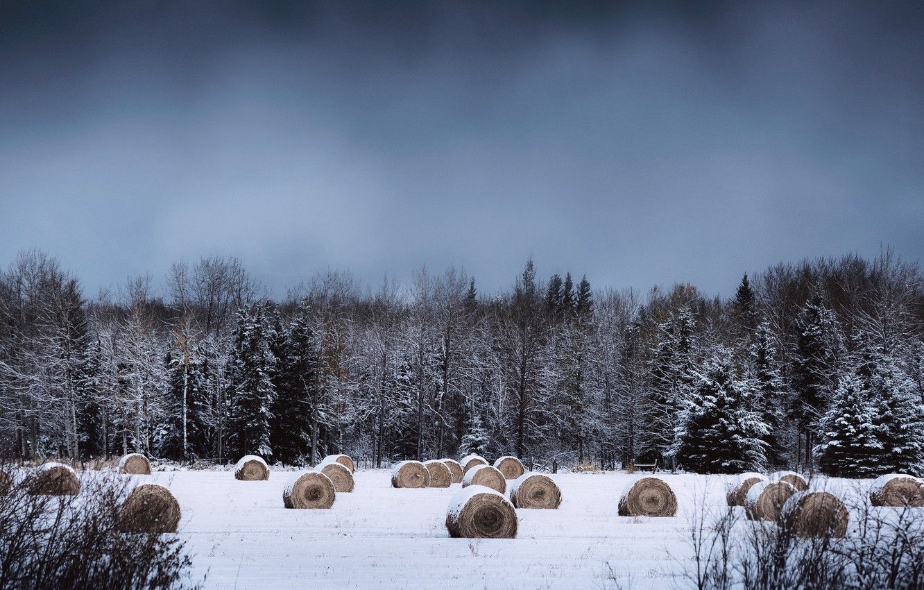 Wallpaper winter, snow, countryside, farm, cloudy, hay, bales, woodland image for desktop, section пейзажи