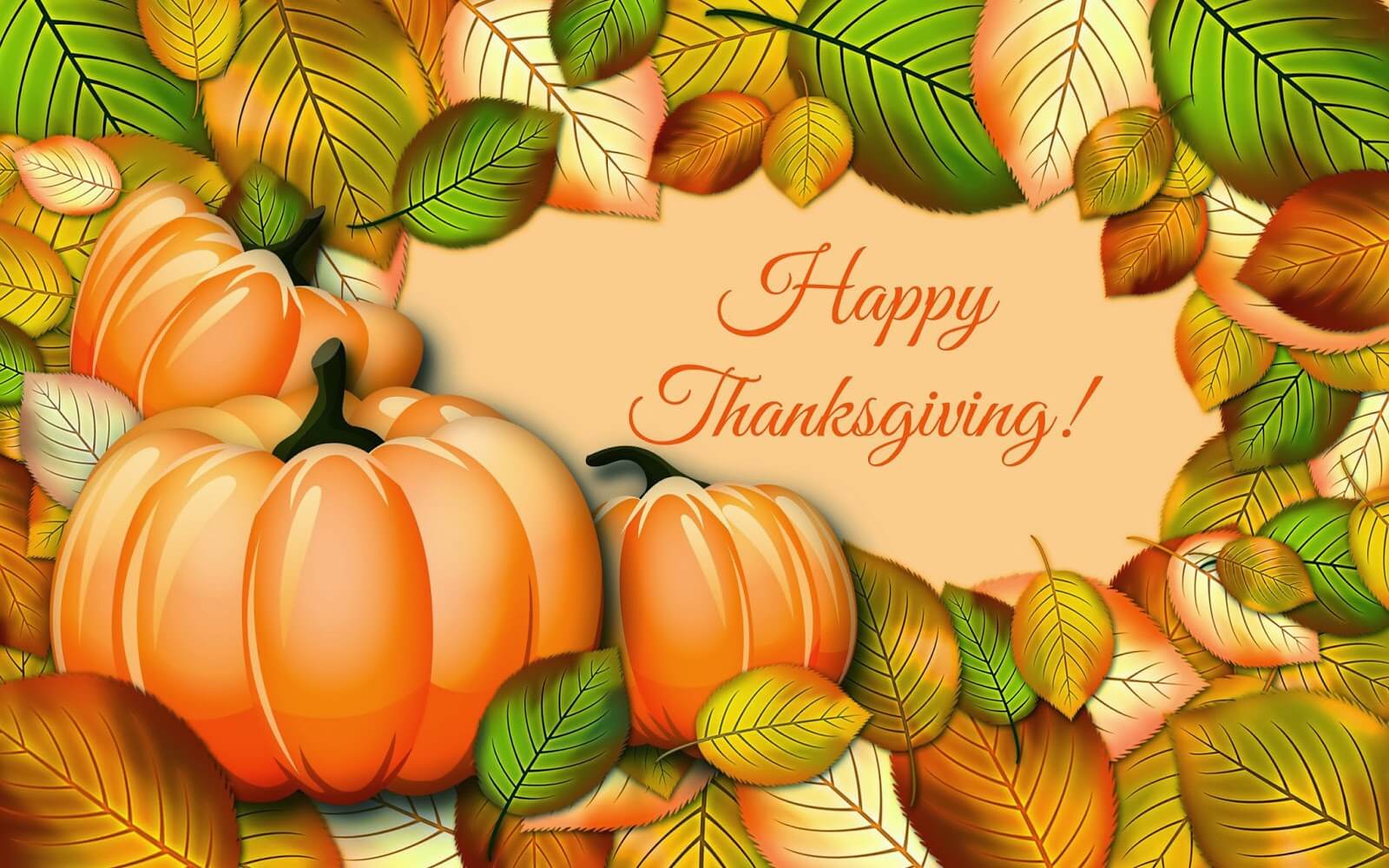 Happy Thanksgiving Day Pumpkin Cute Best HD Wallpaper