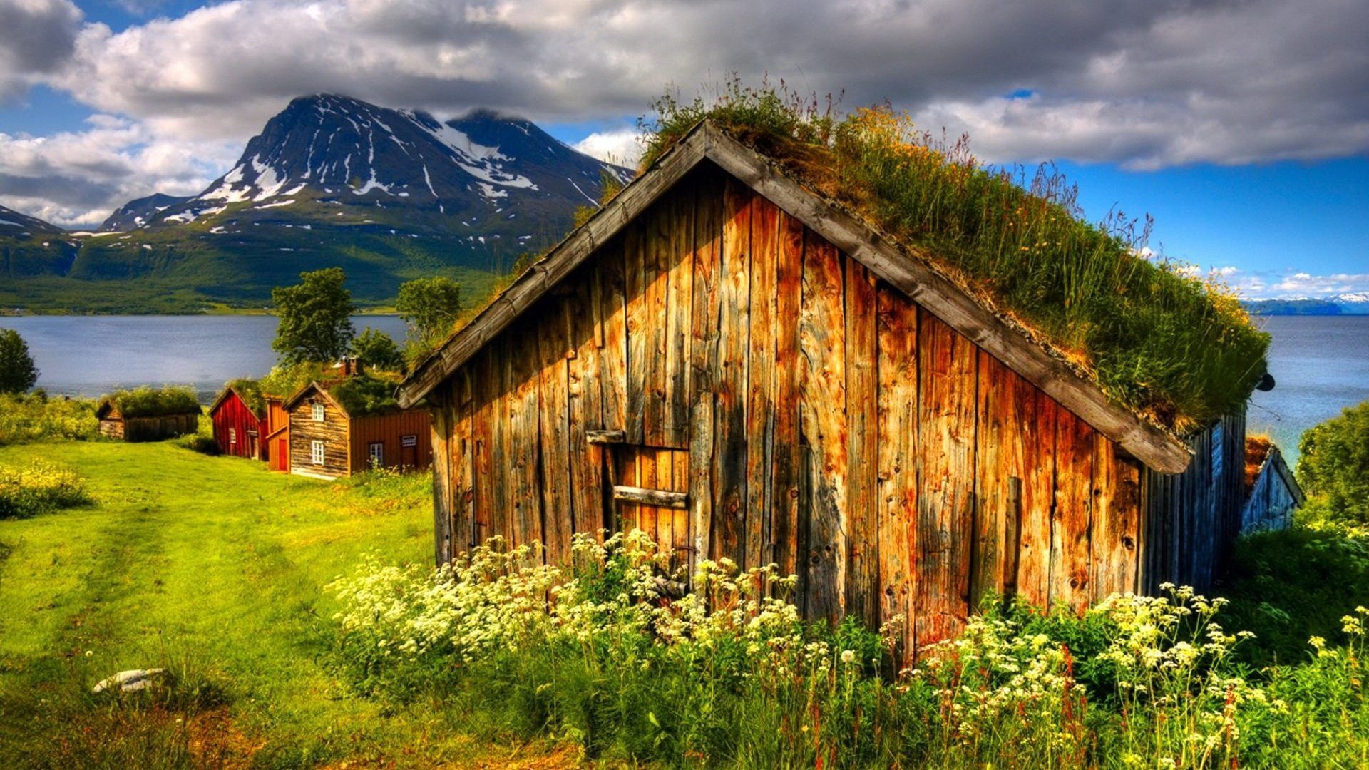 Slope Tag wallpaper: Wildflowers Farm Grass Peaceful Forest Slope. Tromso, Traditional house, Norway