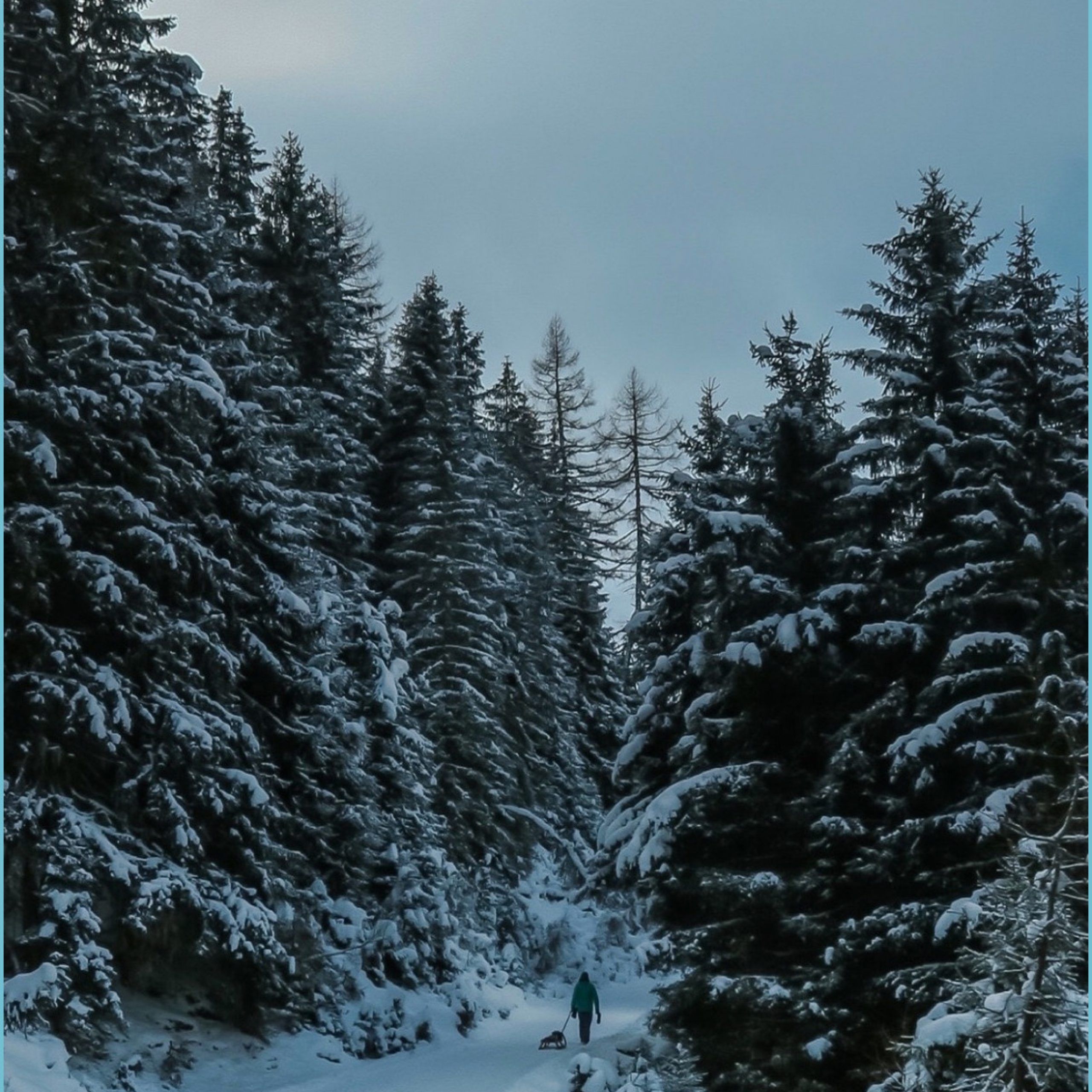 Winter Wonderland Wallpaper For iPhone And iPad Xs Max wallpaper iphone