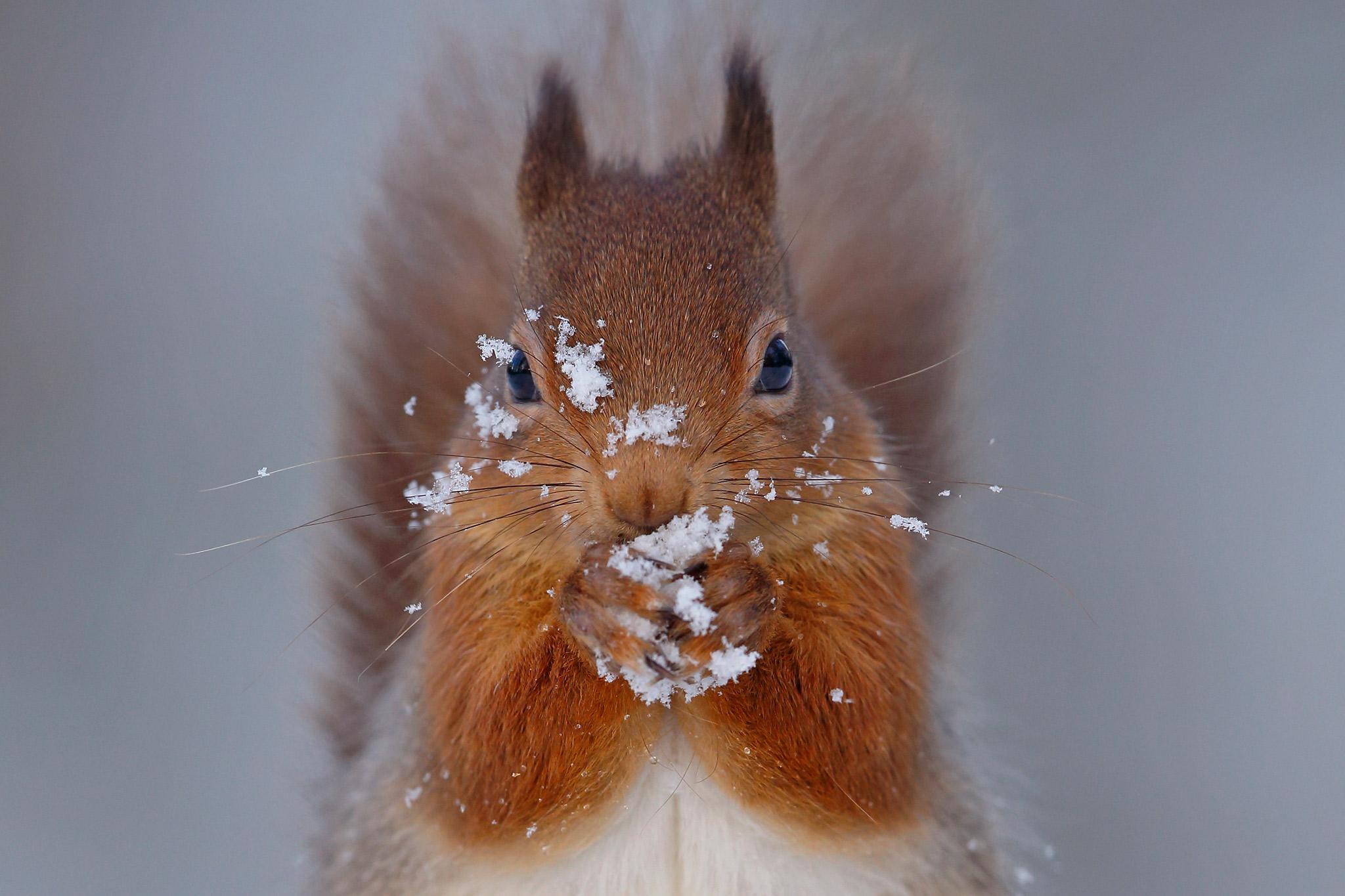 Breathtaking Photo of Scotland in Winter