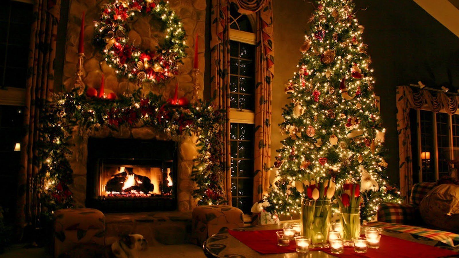 Sắc trắng, cánh đỏ ấm áp là bức chân dung quen thuộc về một mùa Giáng sinh đầy ý nghĩa. Hãy cùng đón xem những Hình nền Giáng sinh cho laptop gợi nhớ về những khoảnh khắc đáng nhớ nhất của mùa lễ này nhé! (#Christmaslaptopwallpapers) 