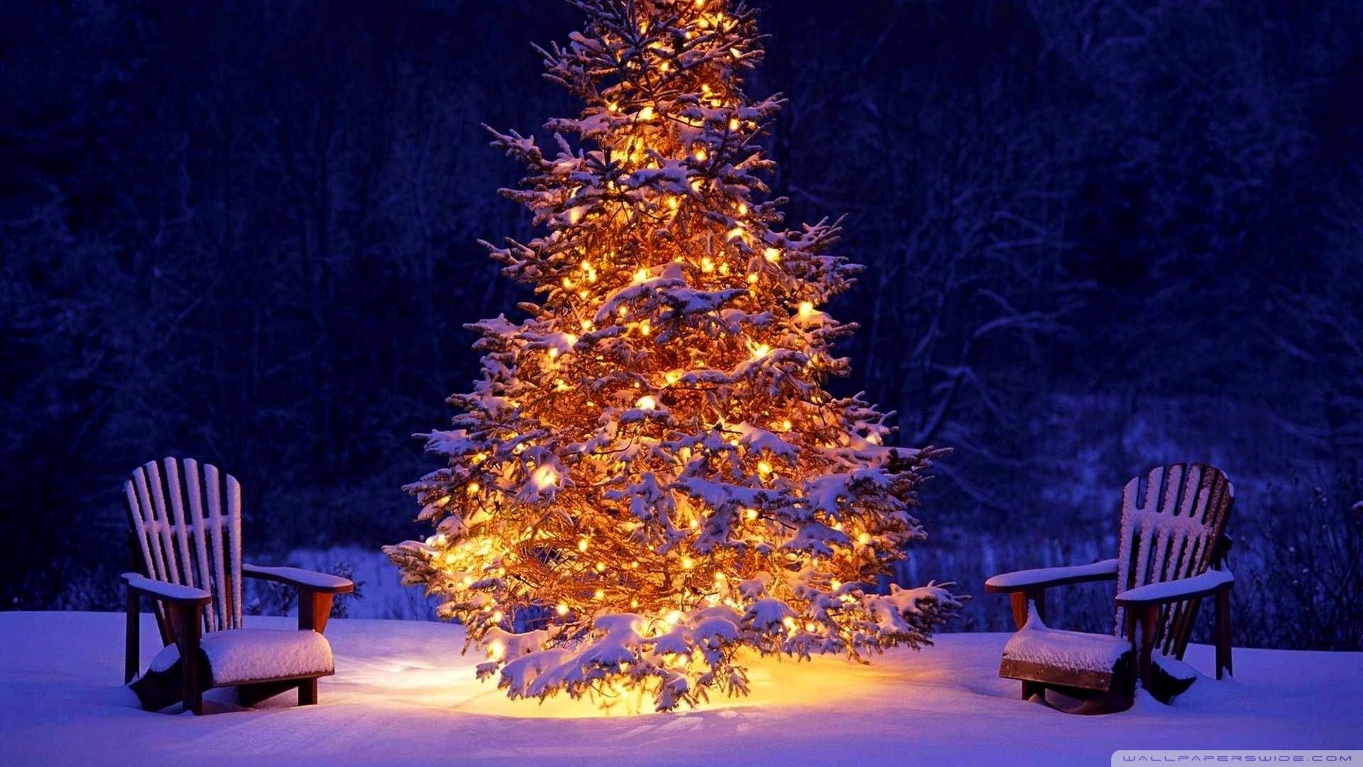 christmas outdoor decorations wallpaper 1920x1080