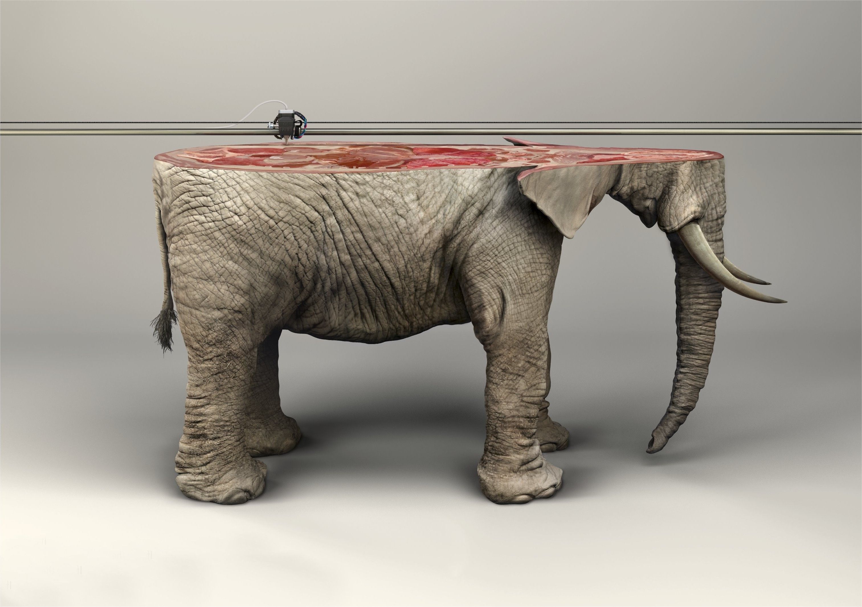 artwork, Animals, Digital Art, Elephants, 3D Object, 3D Printer, Skin, Photo Manipulation, Fangs, Simple Background, Wires, IFAW Wallpaper HD / Desktop and Mobile Background