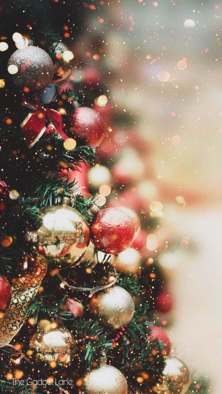 Christmas Tree Aesthetic Wallpapers Wallpaper Cave