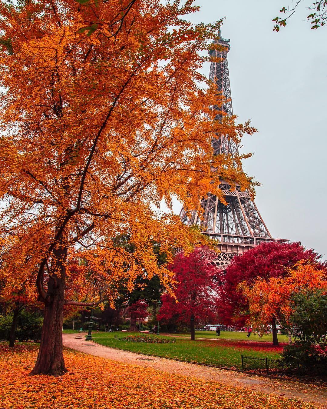 20.9k Likes, 249 Comments Korkmaz THE COLOR QUEEN on Instagram: “Autumn in Paris
