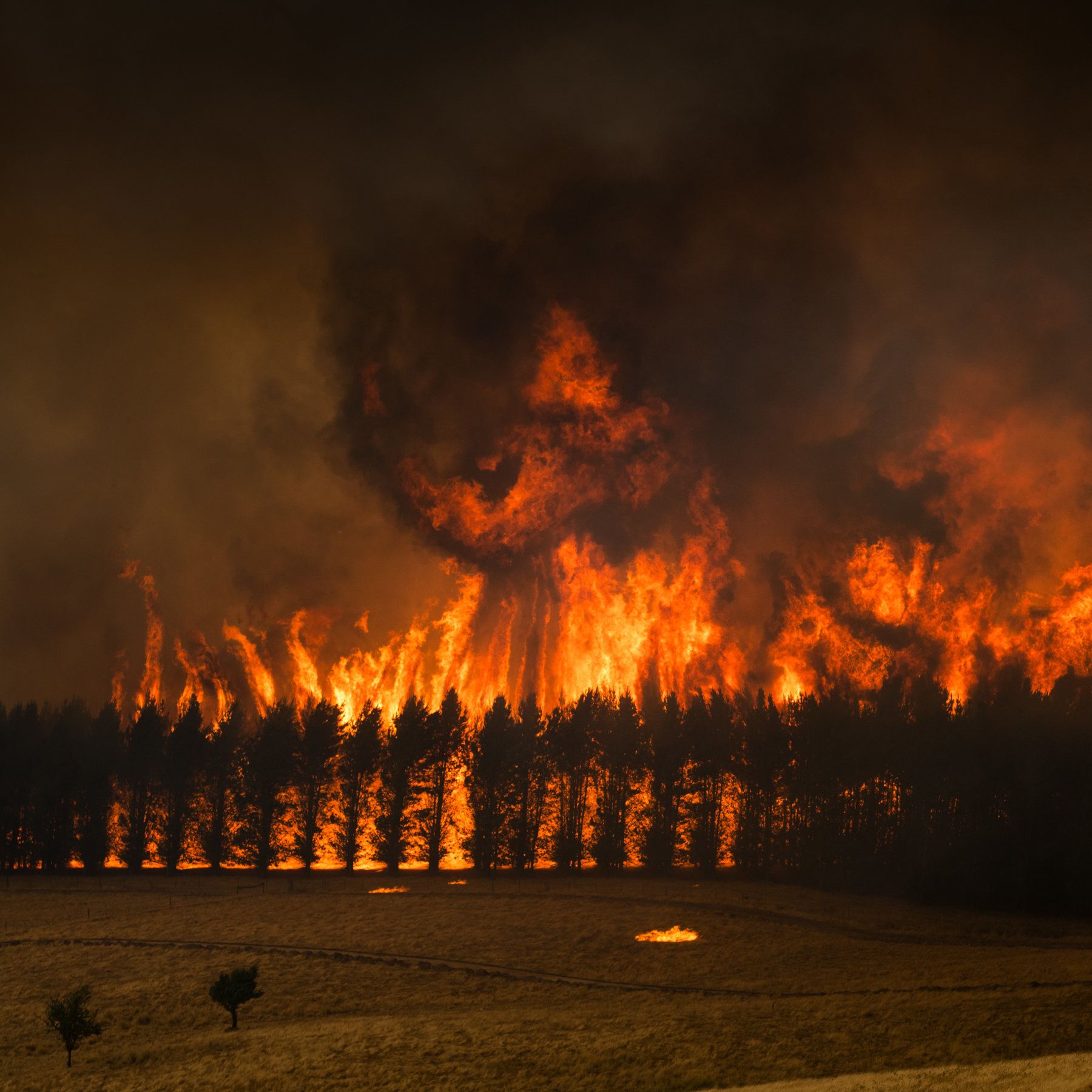 The Australia Wildfires in Picture