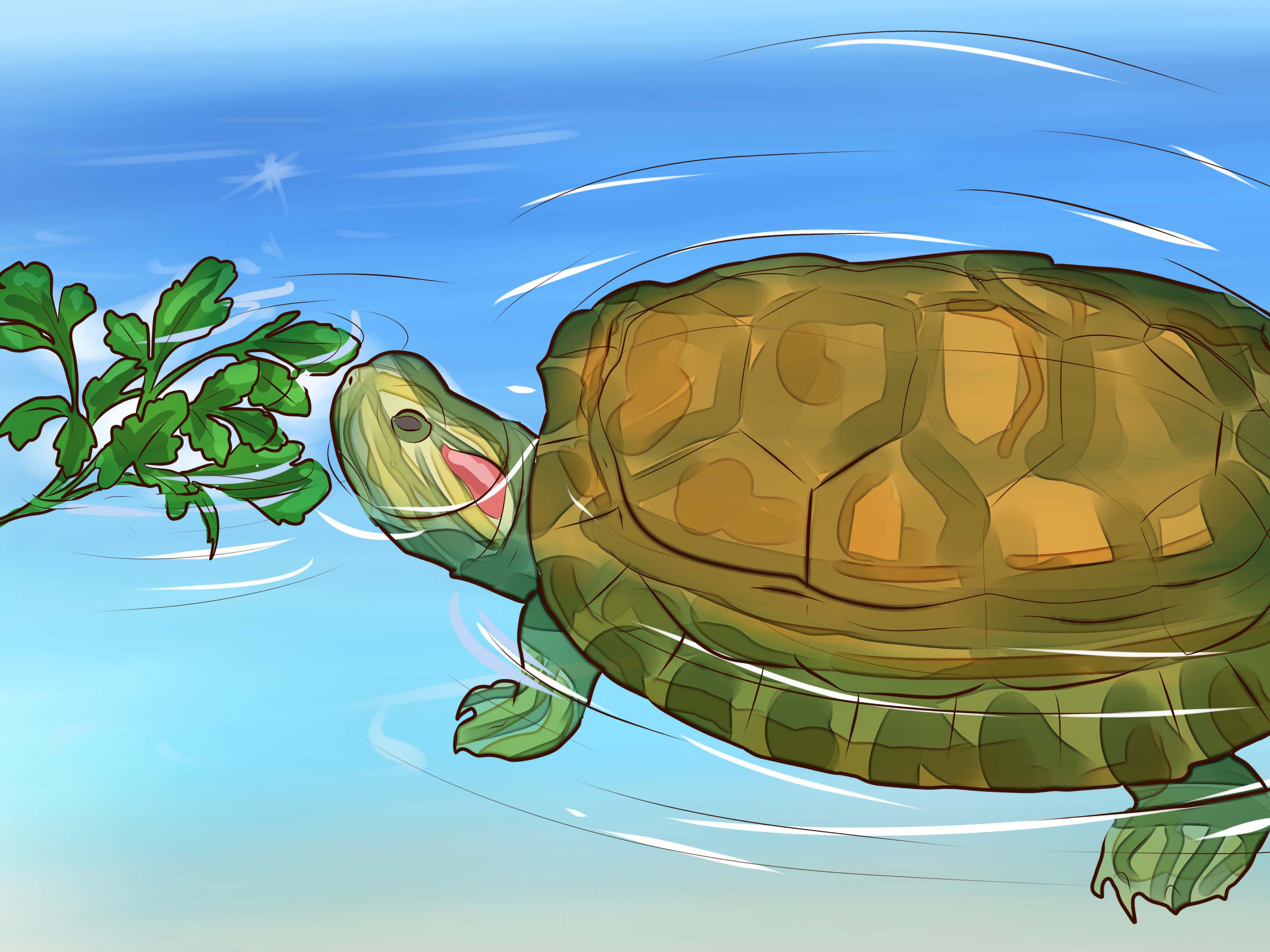 How to Know What to Feed a Turtle: 9 Steps (with Picture)